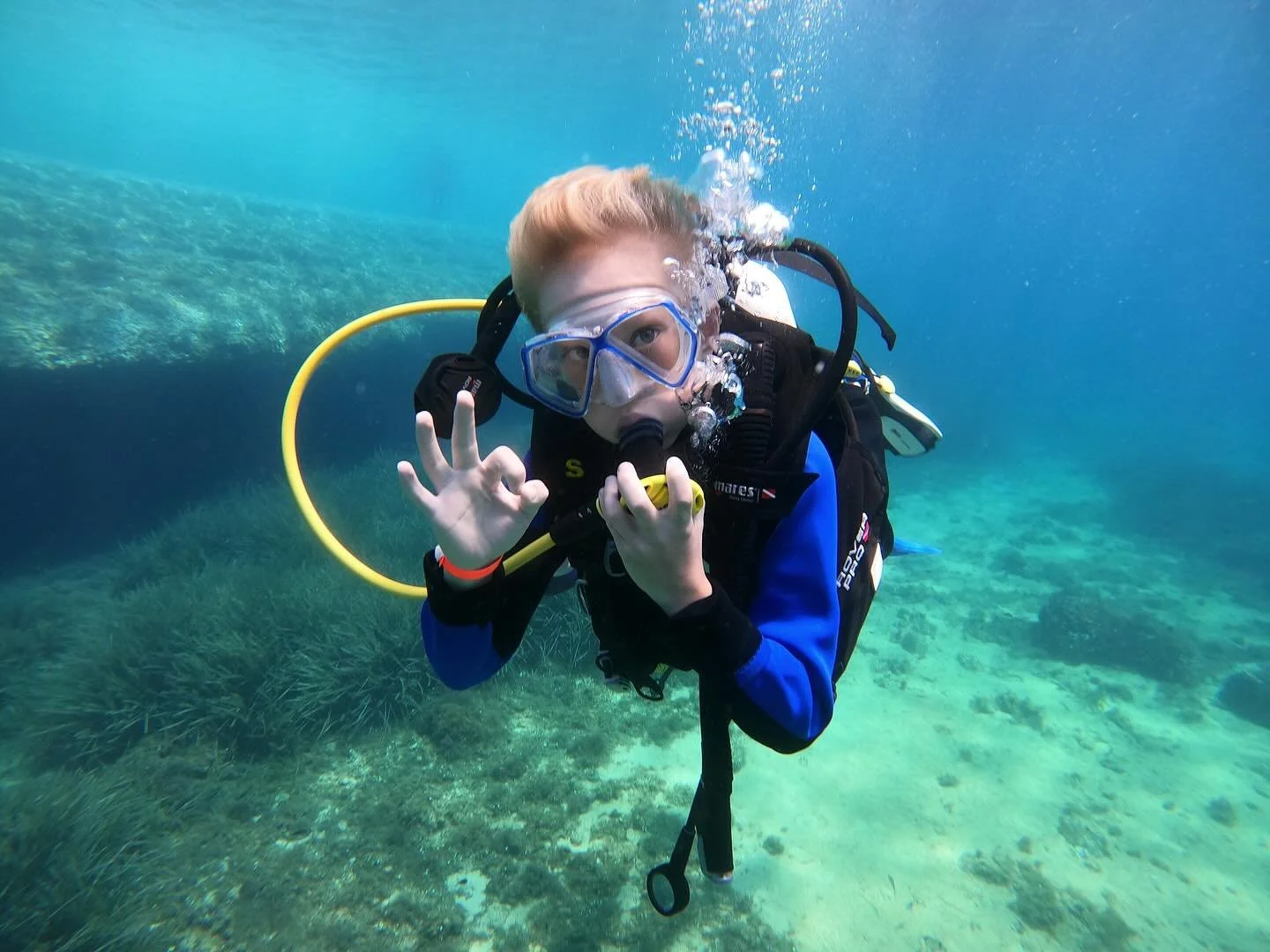 🐠🐠🐠🐠🐠🐠