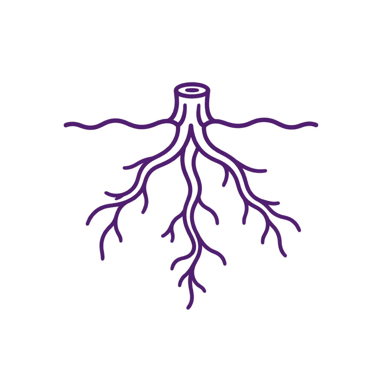 A simple illustration of a plant root system underground in purple lines.