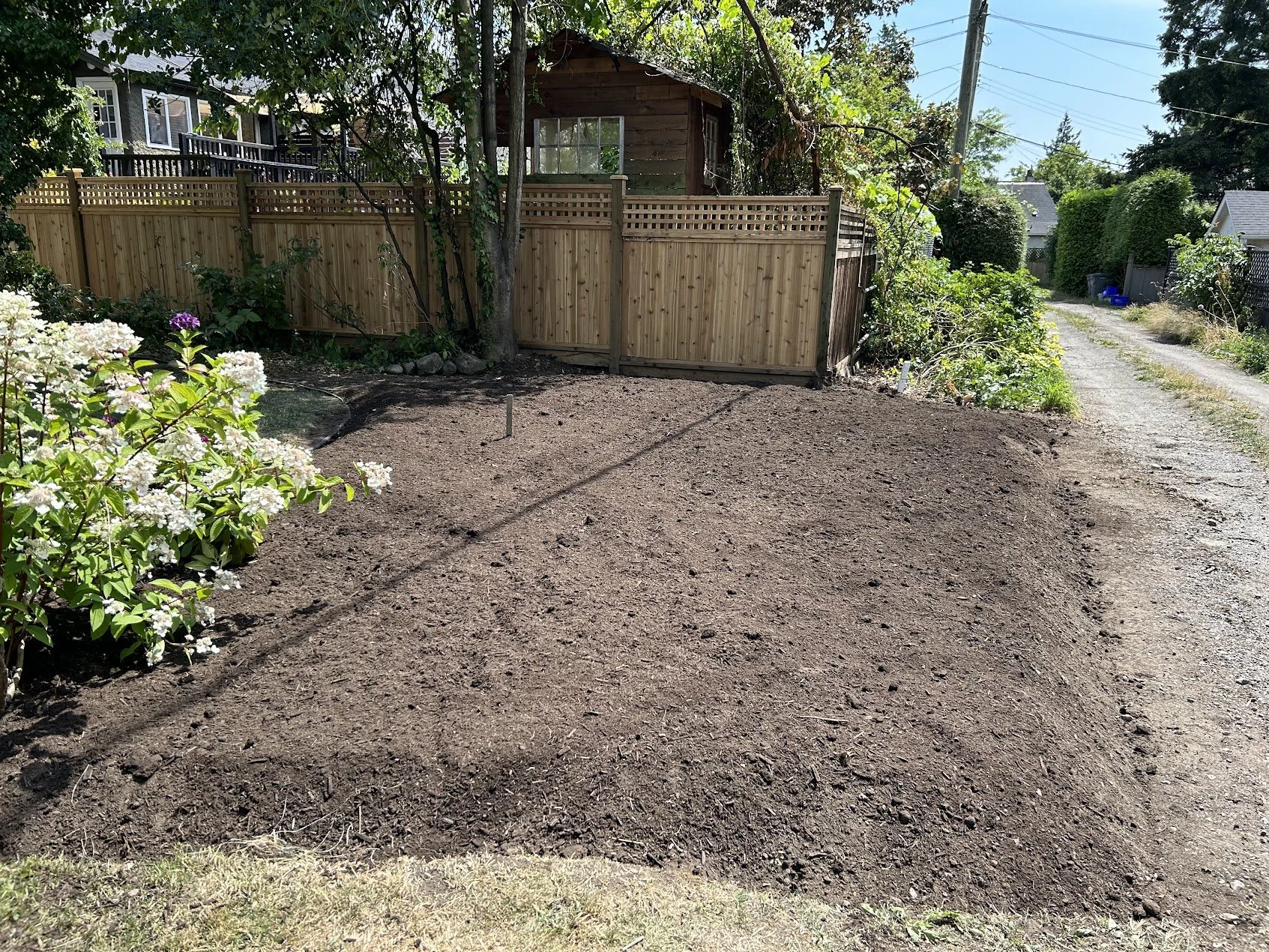 Cleared residential garden bed with freshly prepared soil after invasive plant removal.