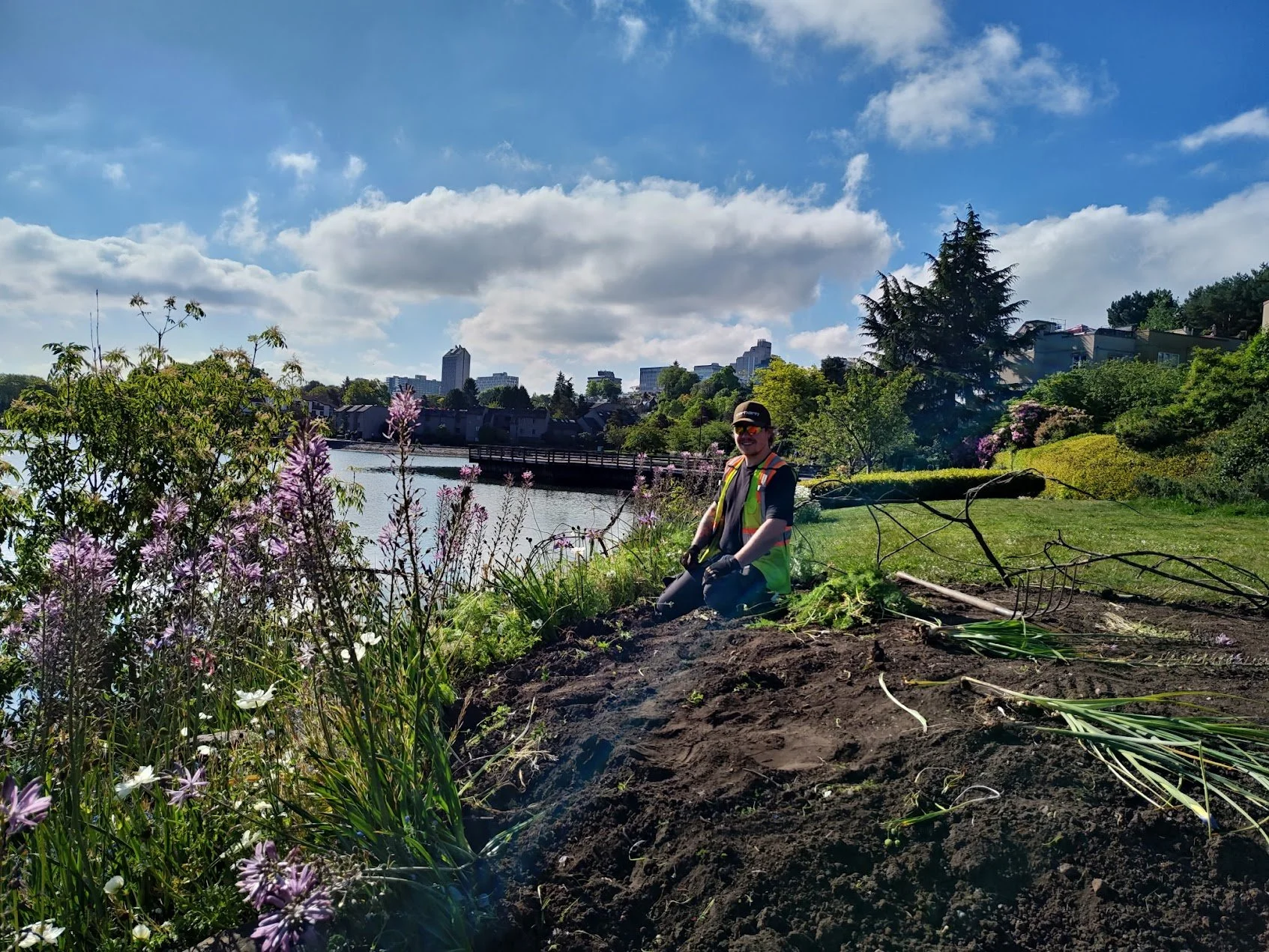 Restored garden bed overlooking the water with existing flowering plants preserved around the cleared area.