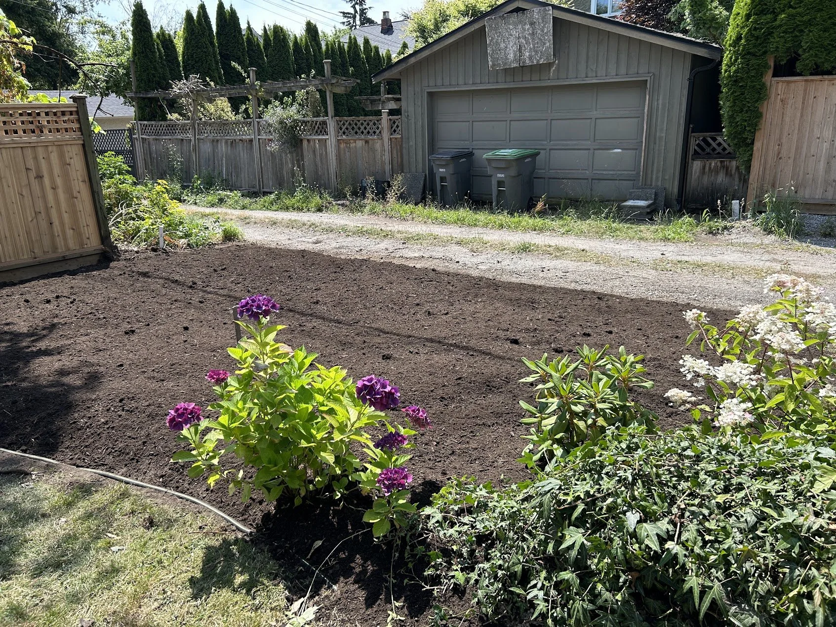 Freshly prepared residential garden bed after invasive growth removal and soil restoration..