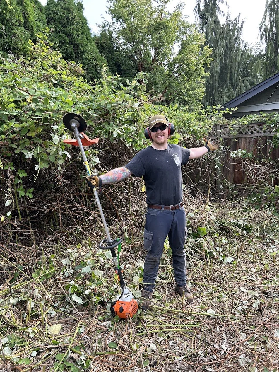 Skylar of Thornguard clearing dense Himalayan blackberry with a brush cutter at a Richmond BC property.