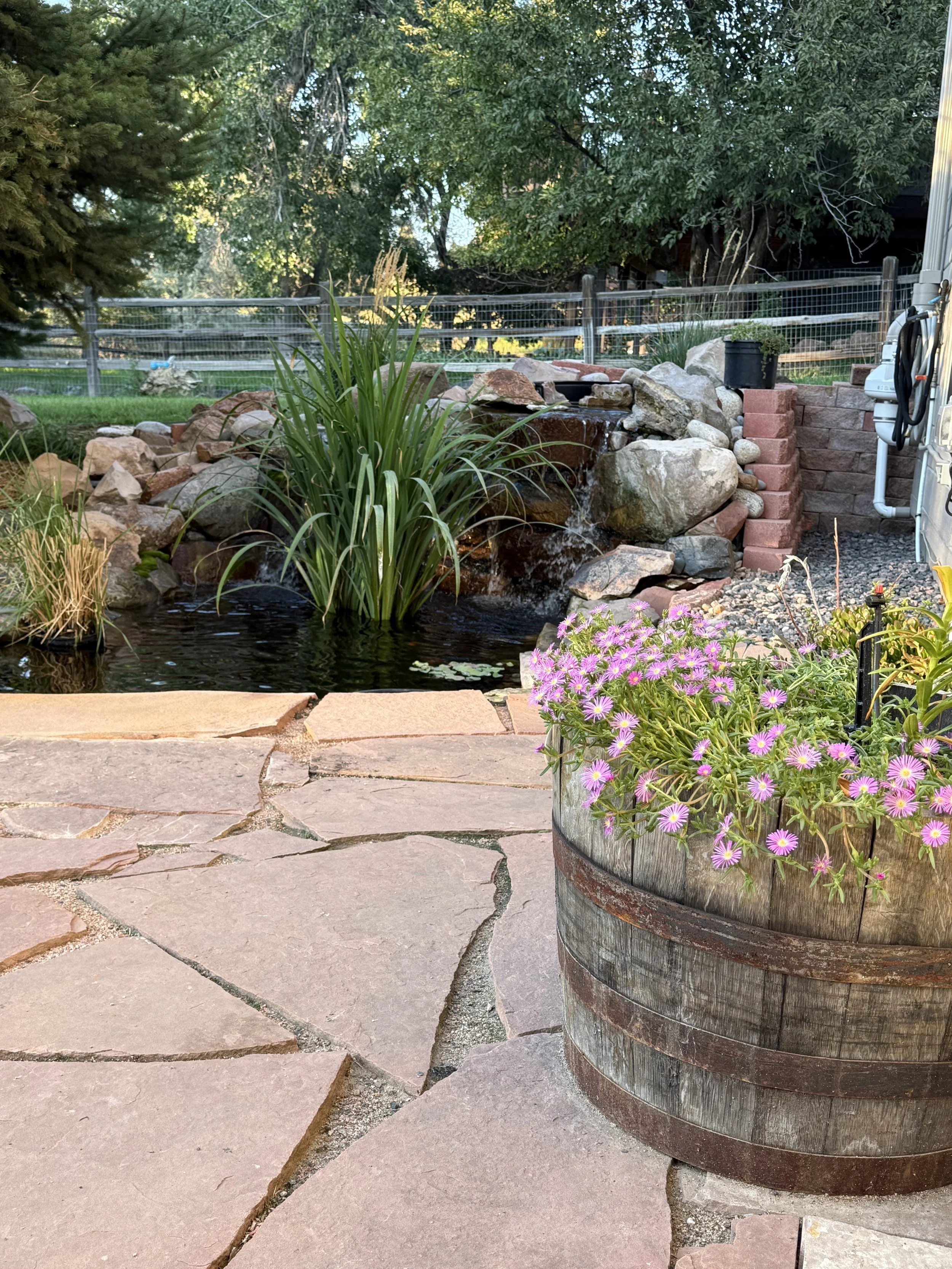 A backyard scene with a stone pond waterfall, a potted pink flower, and a flagstone patio with a wooden barrel planter, trees, and a fenced yard in the background.