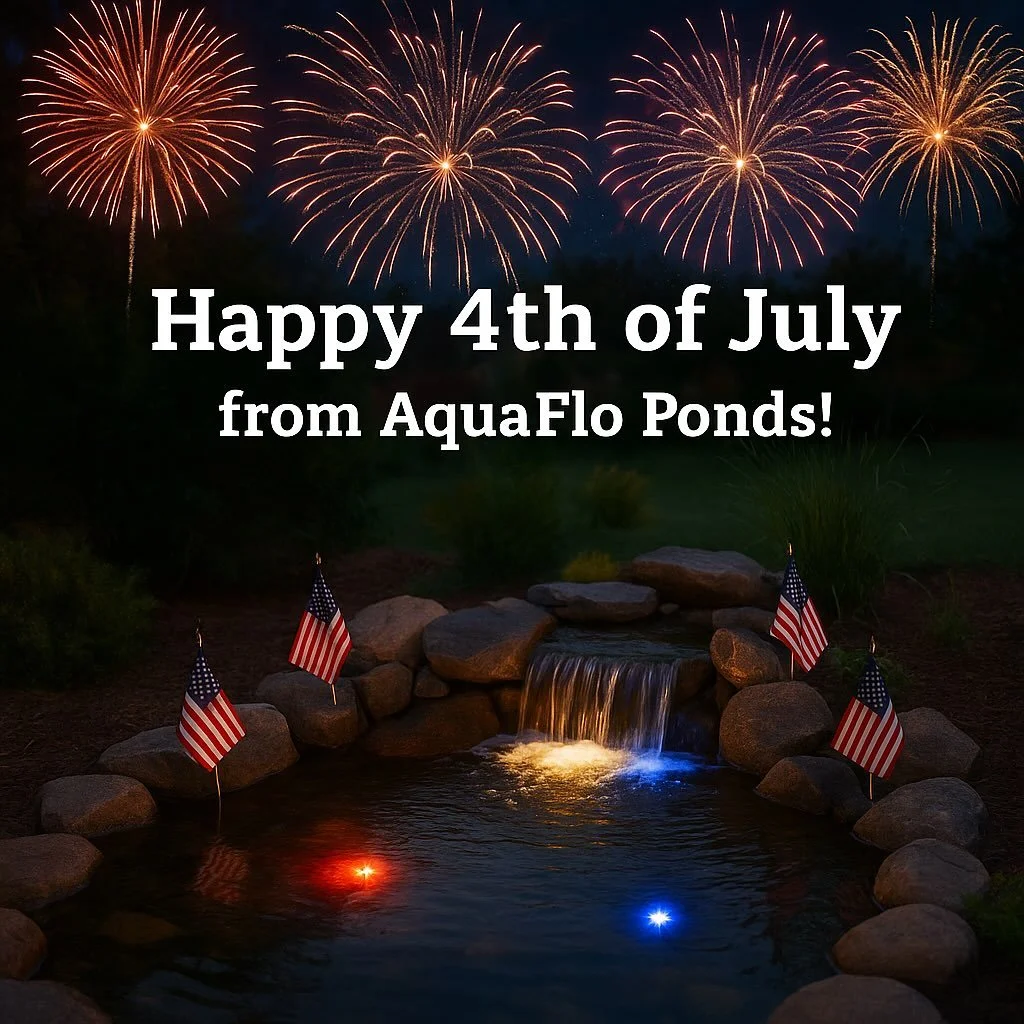 🇺🇸 Happy Fourth of July from AquaFlo Ponds! 🇺🇸

Wishing all our friends, neighbors, and clients a safe and sparkling Independence Day!

May your day be filled with fun, laughter, and the peaceful sound of flowing water.

✨ Thank you for letting u