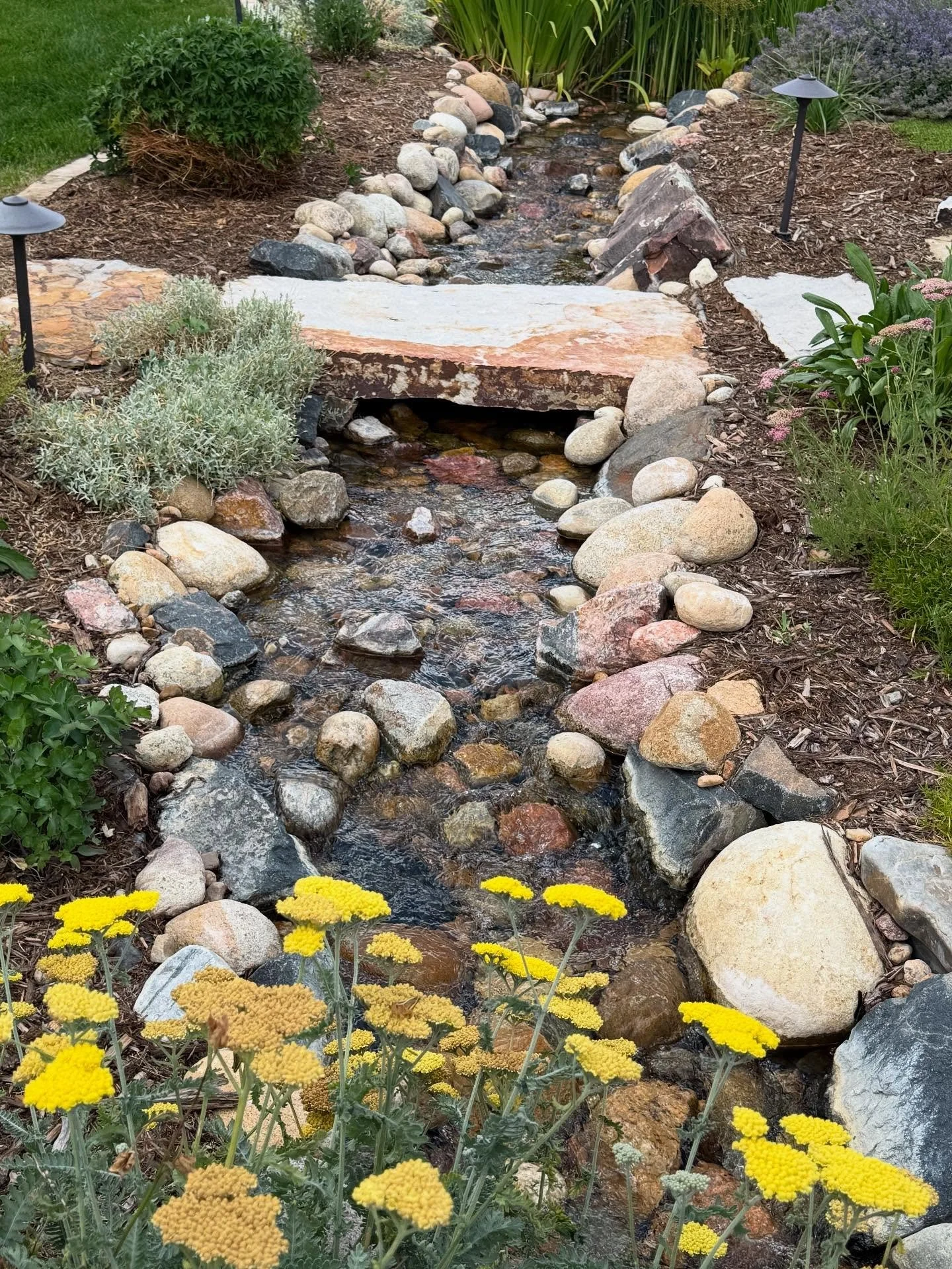 This stream has settled in beautifully&mdash; like it&rsquo;s always belonged here. 🌿

The flowing water, the softened edges from rain and sun, and the way the plants are beginning to thrive around it&hellip; it&rsquo;s all coming together just as w