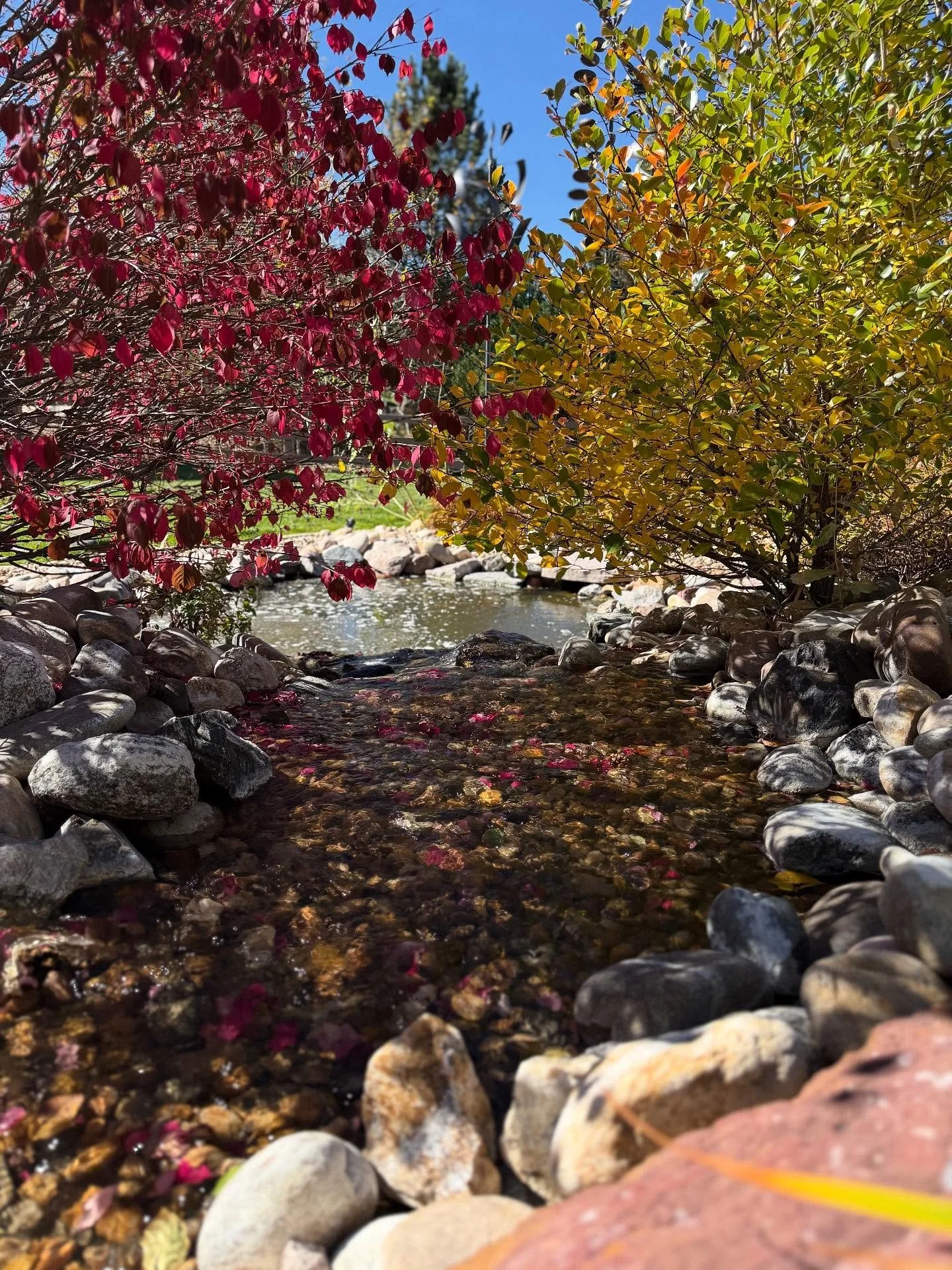 Colorado's fall scenery is breathtaking, and this pond is perfection

#fall #perfect #beautiful #viral #pond #waterfall #leaves #crisp