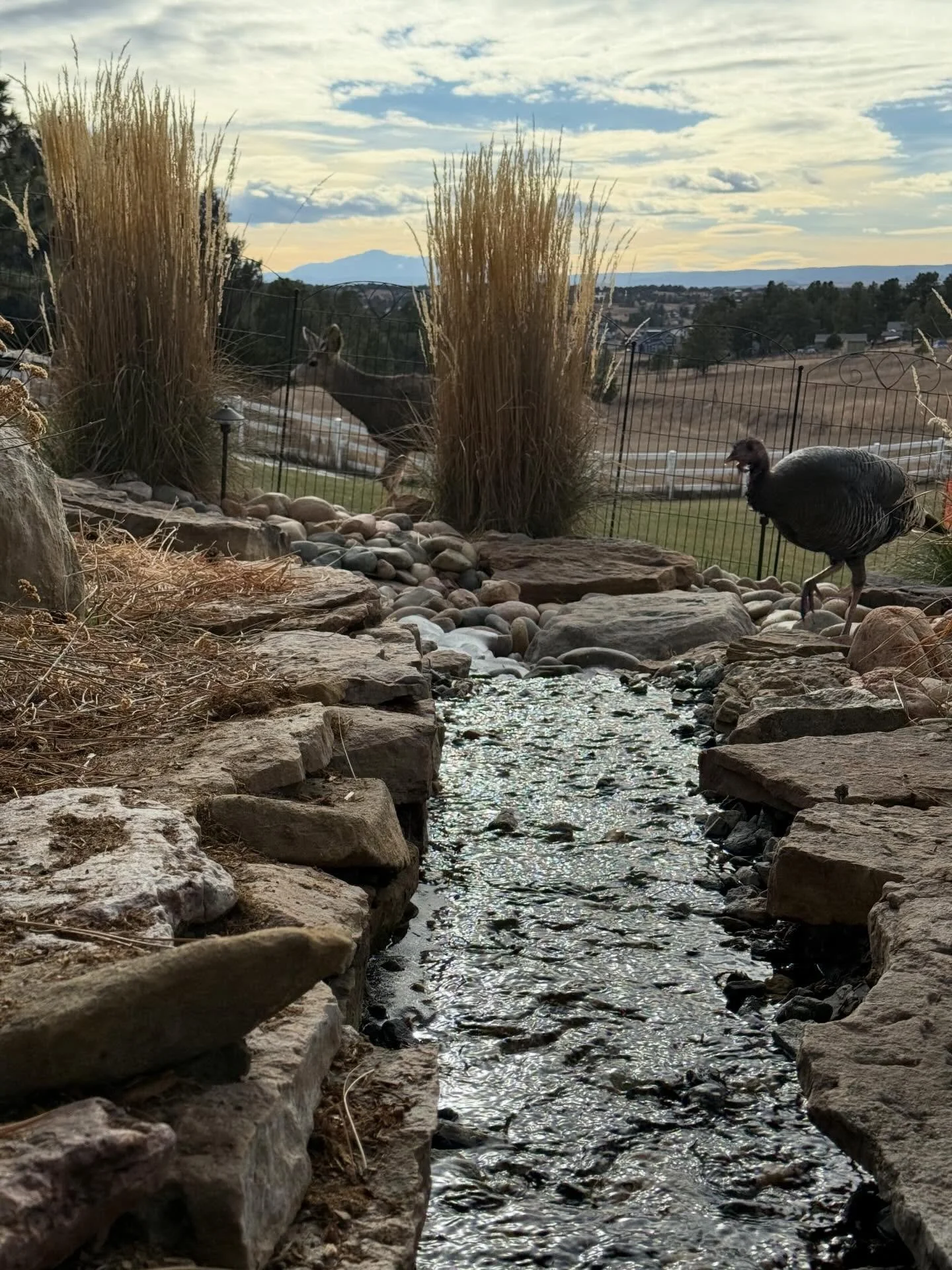Merry Christmas from AquaFlo Ponds!
We&rsquo;re incredibly grateful for our amazing clients, neighbors, and community who trusted us with their ponds and water features this year. Wishing you and your family a joyful Christmas filled with peace, warm