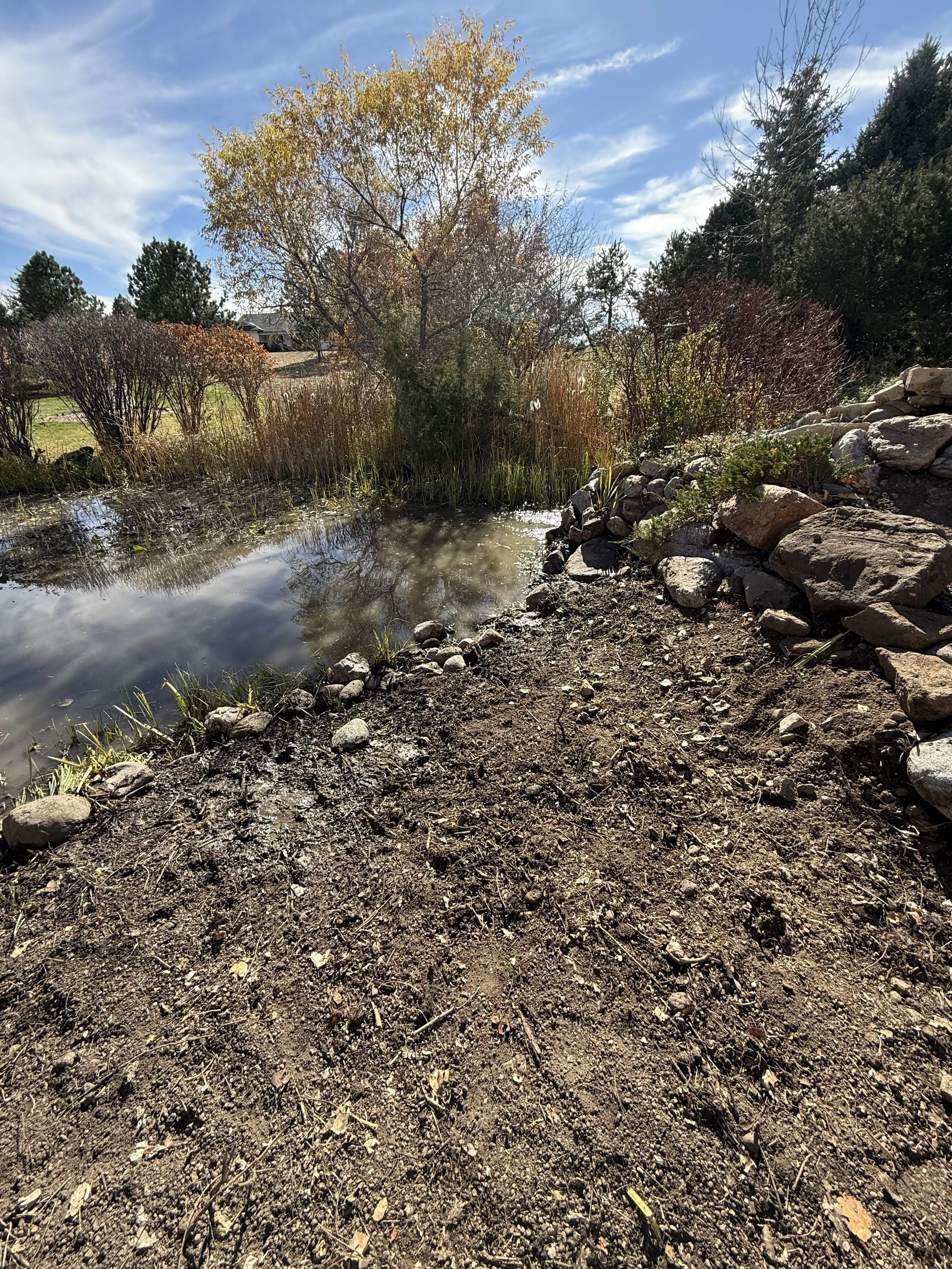 A small pond surrounded by trees and bushes with autumn foliage, a dirt path with rocks on the side, and a bright blue sky with clouds.