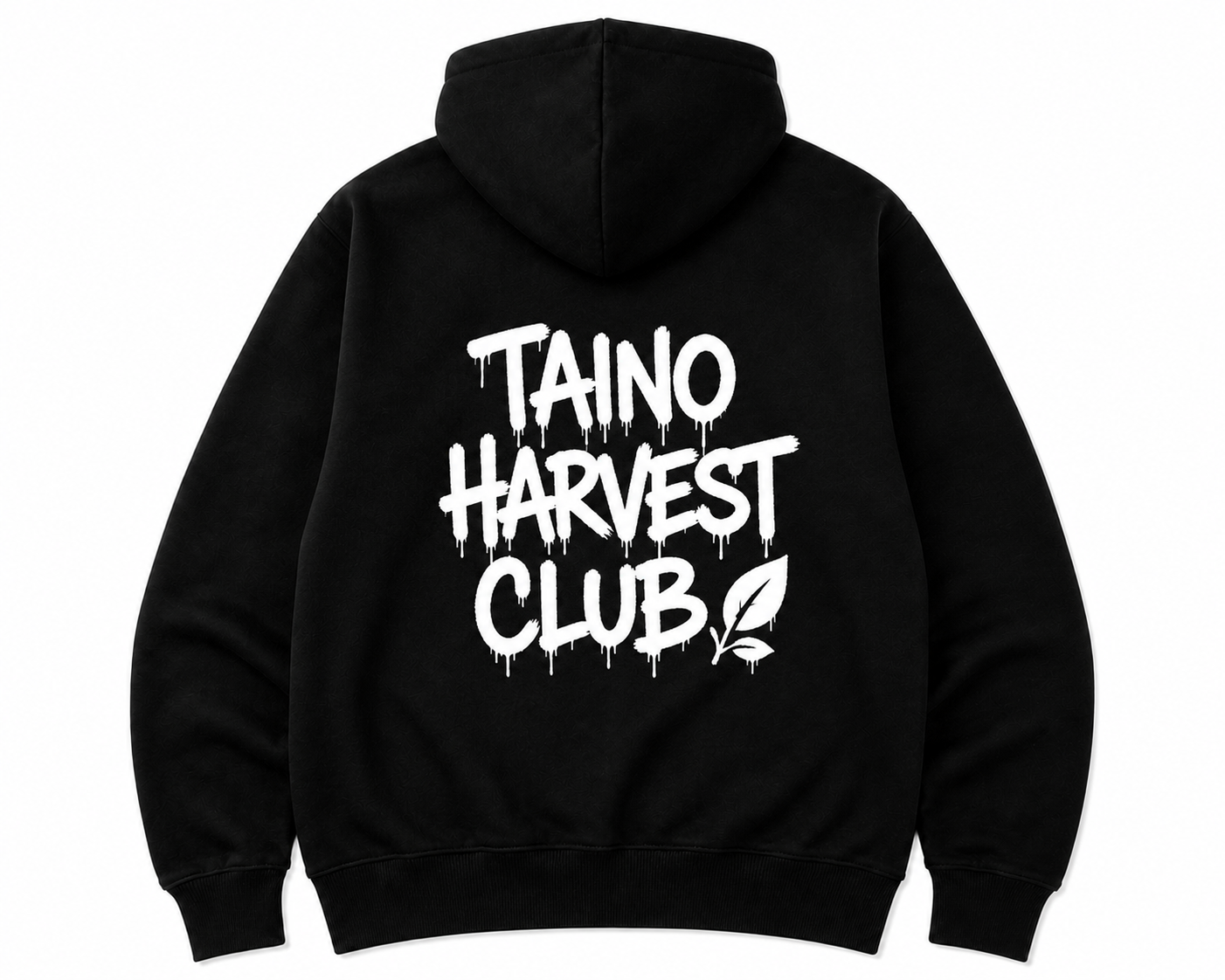 Back Hoodie pic.png