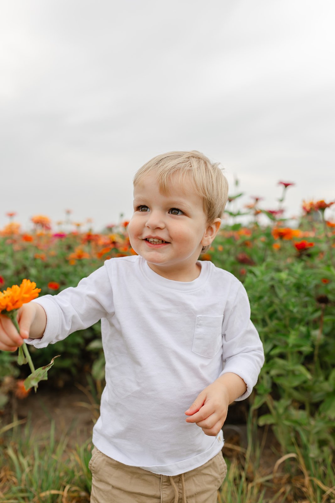 Young child holding a yellow flower in a garden