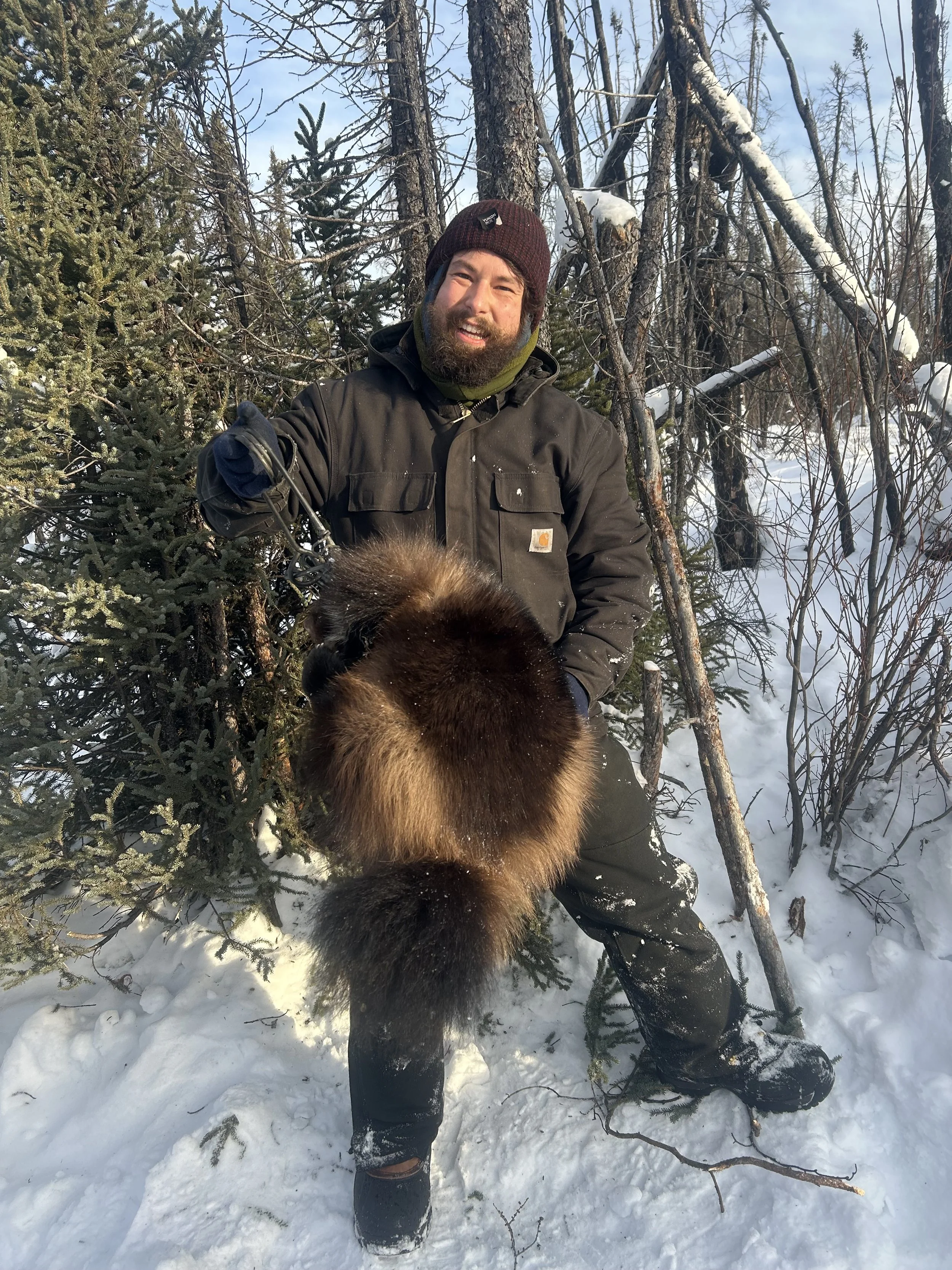 Person in winter clothing holding up a animal pelt in snowy forest.