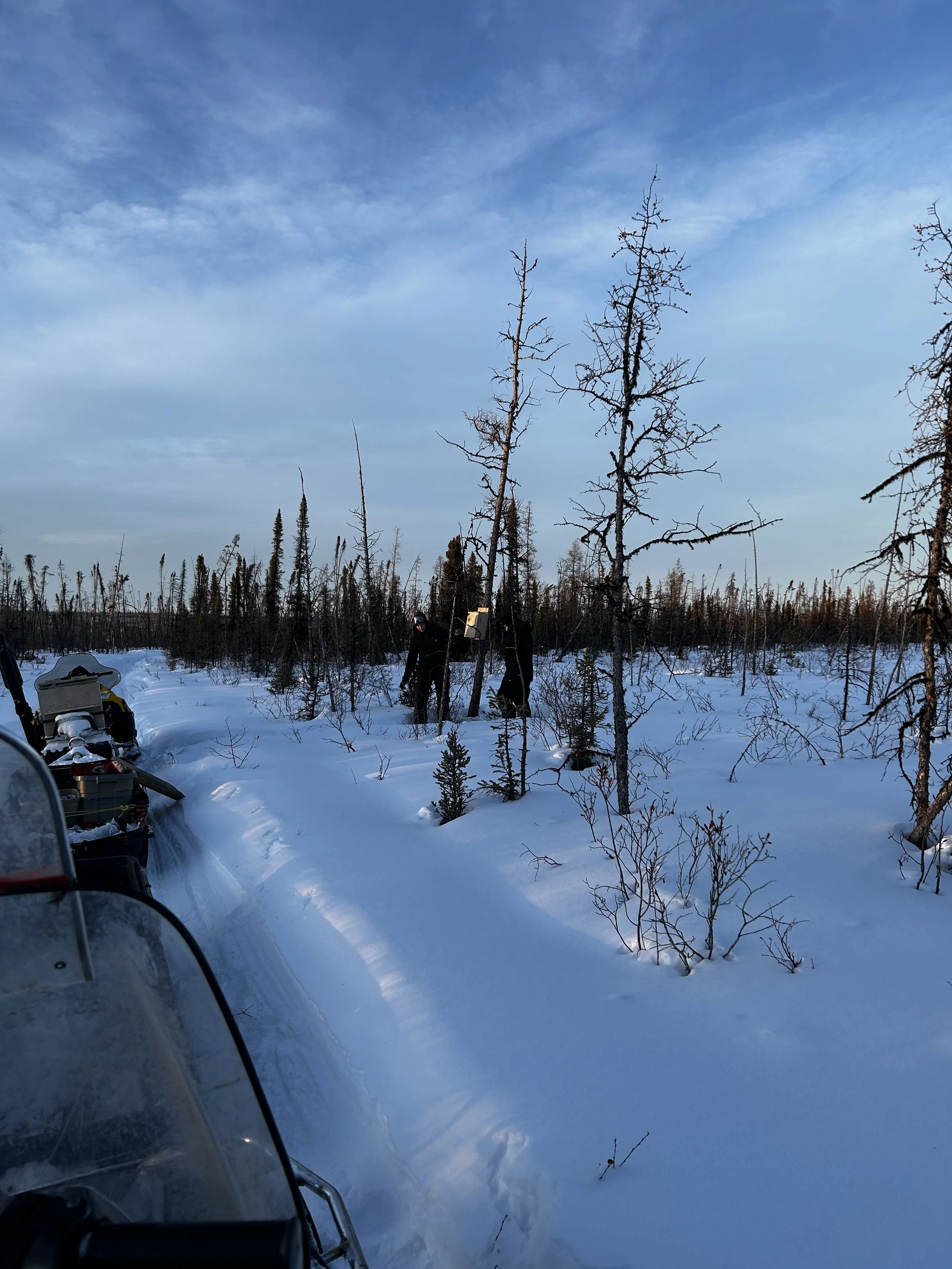 Snow-covered landscape with sparse trees and a partially visible snowmobile in the foreground.
