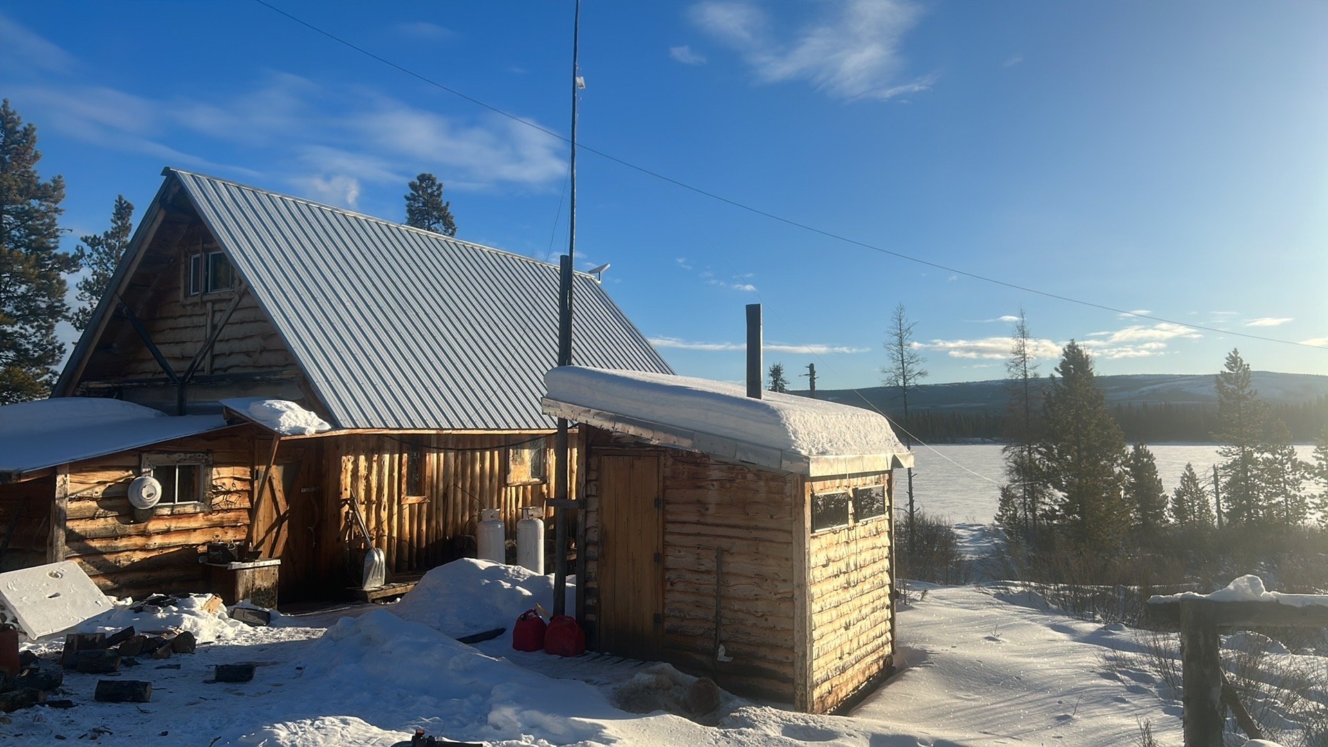 Log cabin with a metal roof in a snowy landscape, surrounded by pine trees under a clear blue sky.