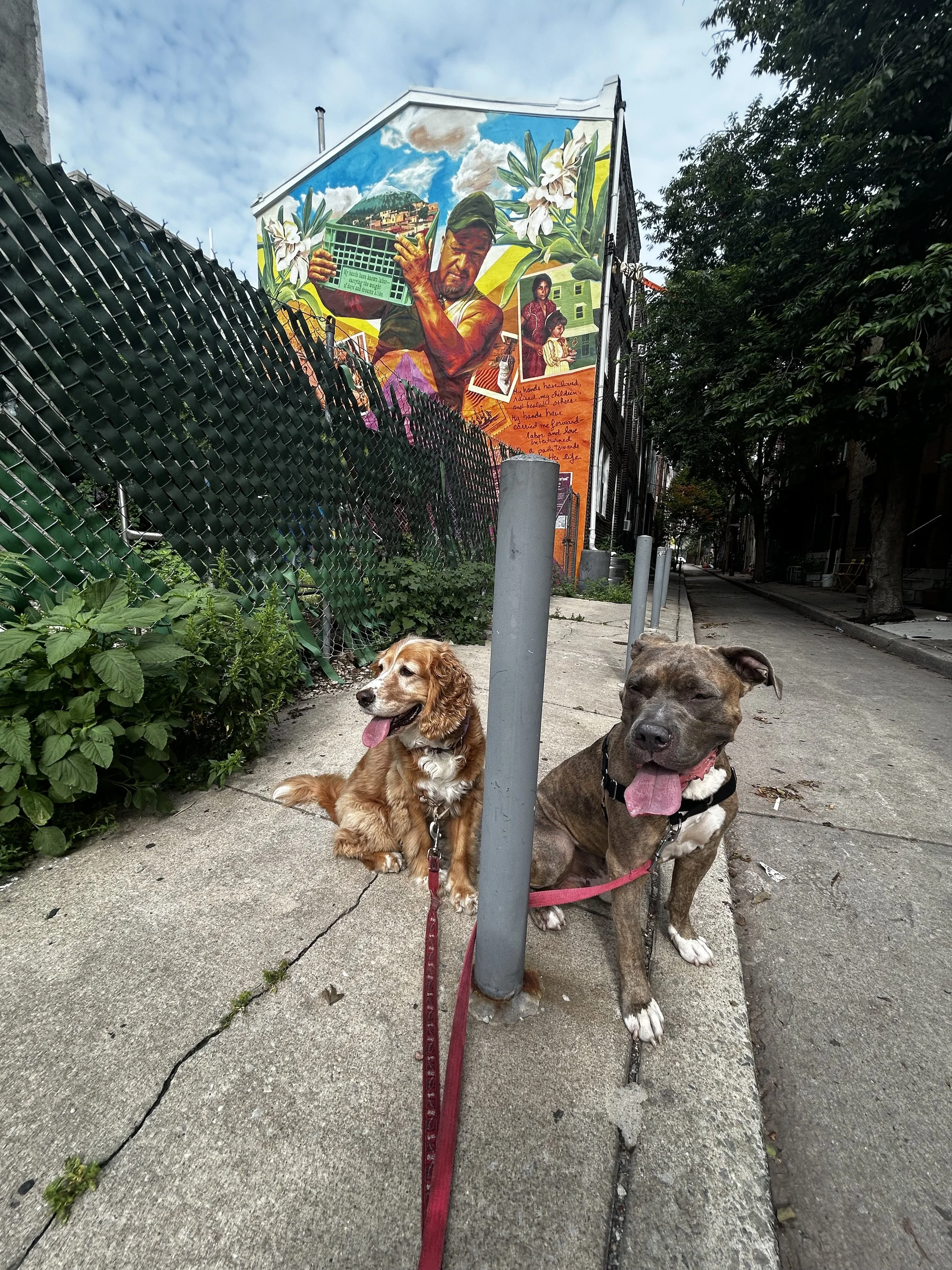 Two dogs sitting on a sidewalk next to a metal barrier in an urban area, with a colorful mural on a building in the background. The mural depicts a man holding a basket, flowers, and various scenes.