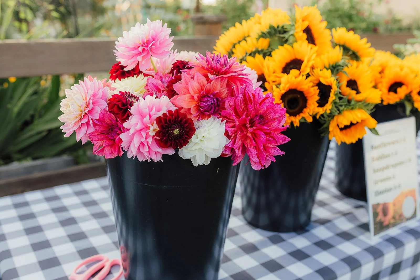 Frequency Farm  (1).jpg