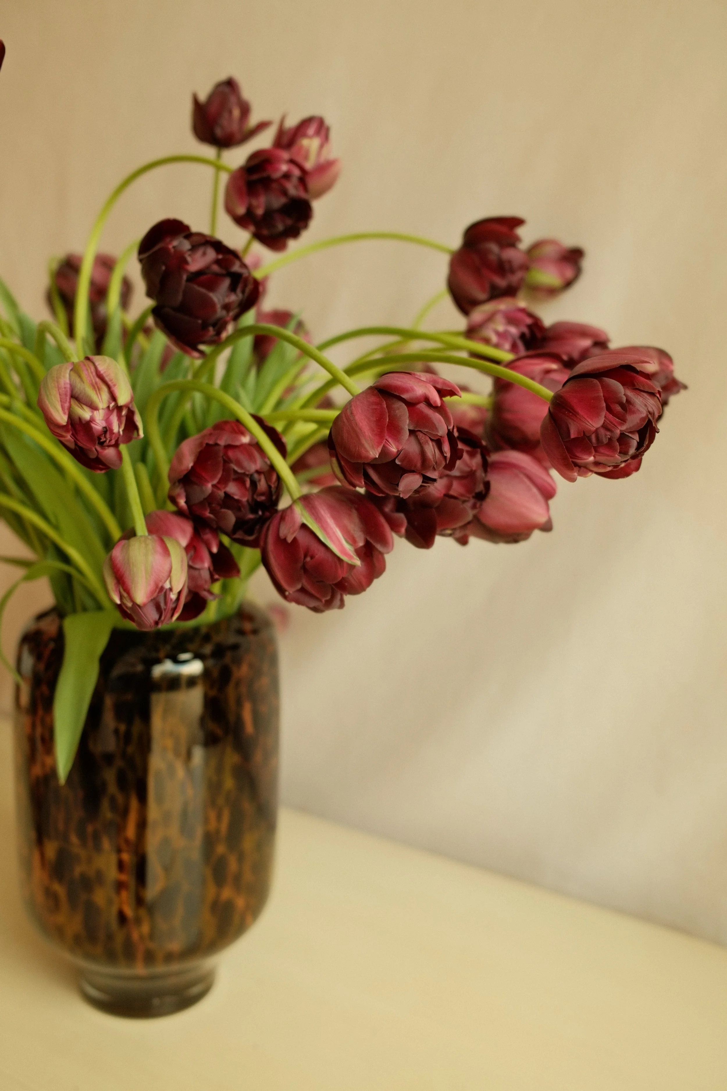 DSCF0821.JPG