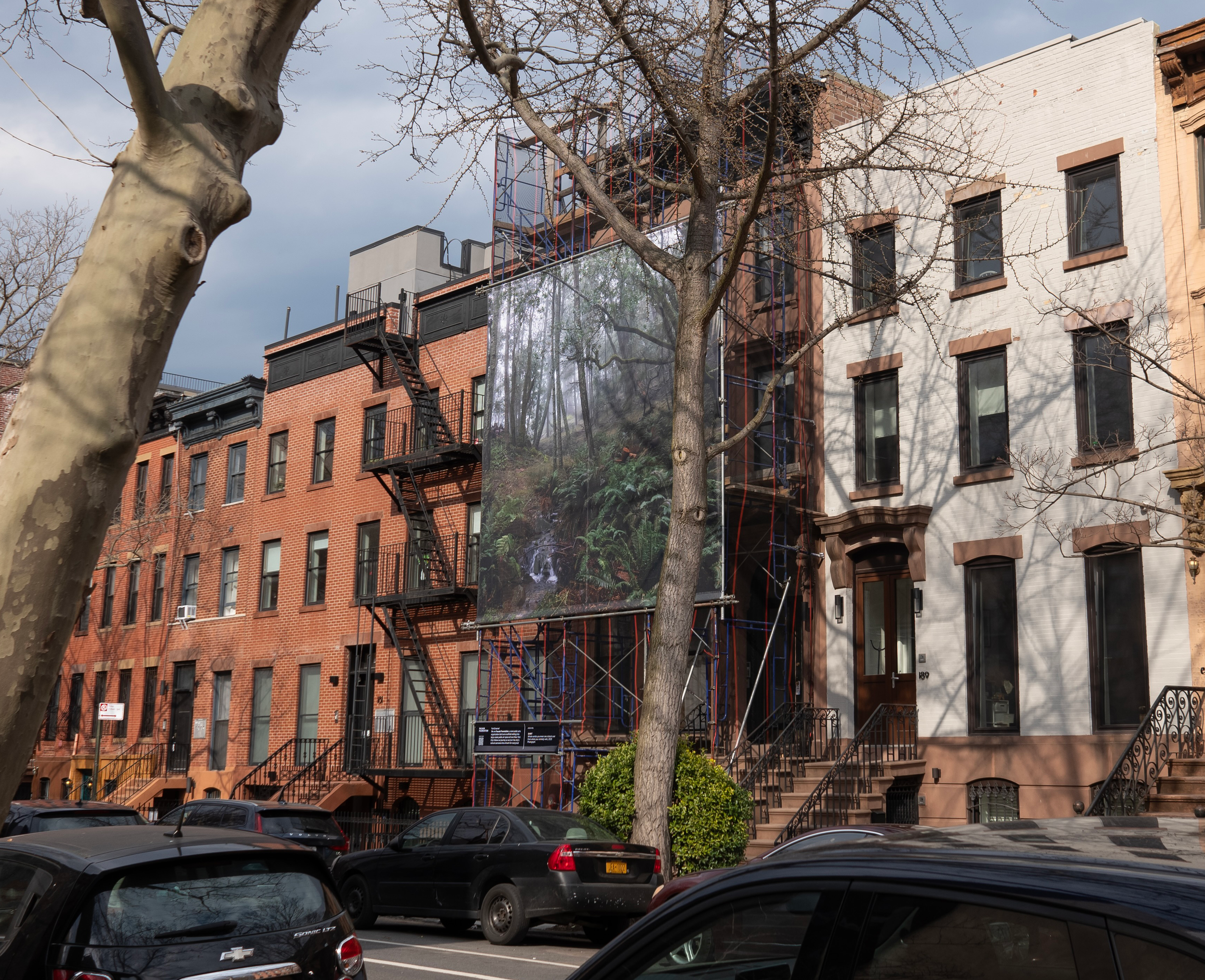 Street view of brownstone buildings with fire escapes, parked cars, and a tree with budding branches. A large banner with a forest scene hangs on one building. nyc-scaffolding-art