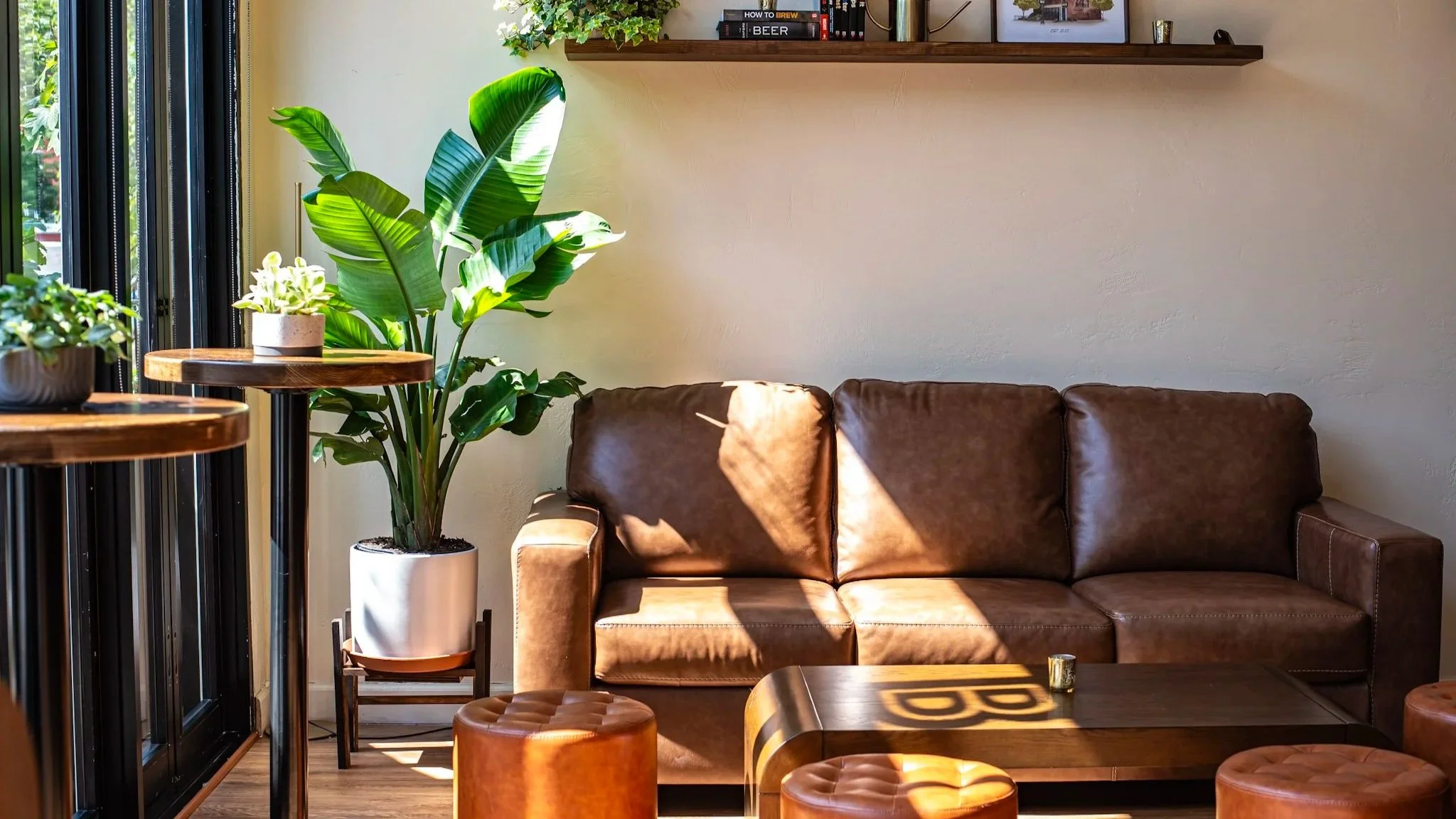 Lounge area at BKB Brooklyn Brasserie with natural light streaming across cozy couches