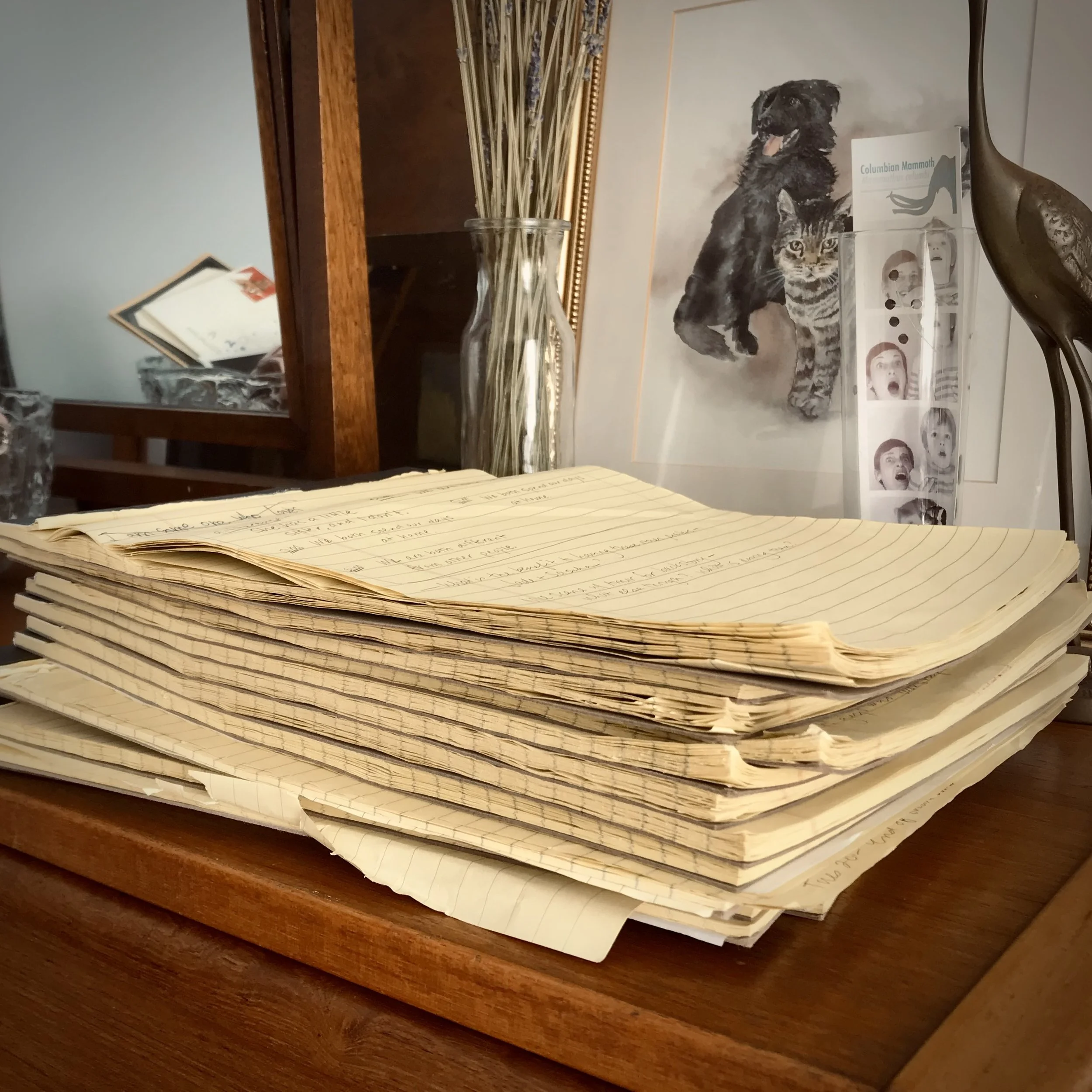 Like It or Not, You Are a Writer. Congrats!