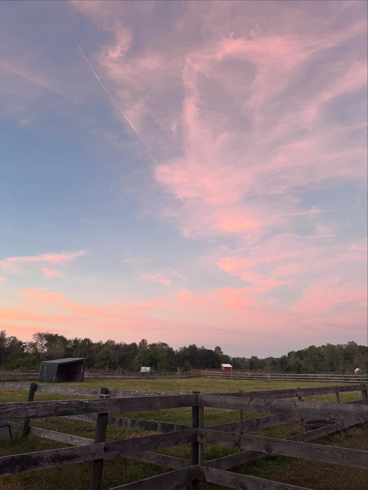 Skies, flowers and birthday songs