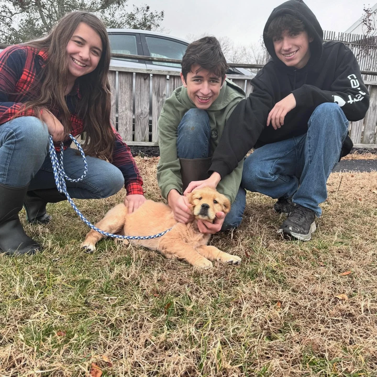 Our last and best Christmas present! Meet Maggie 🐕