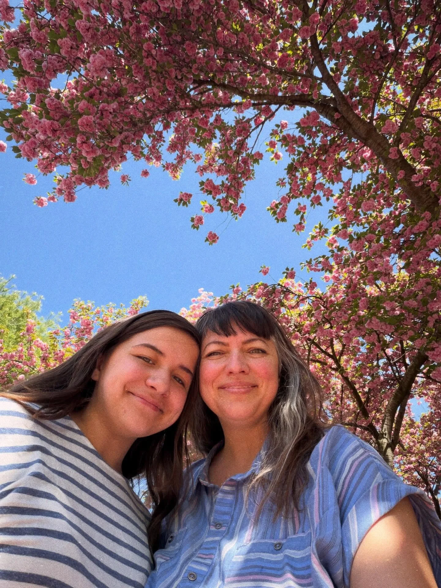 🌸Cherry blossoms with my favorite girl 🌸