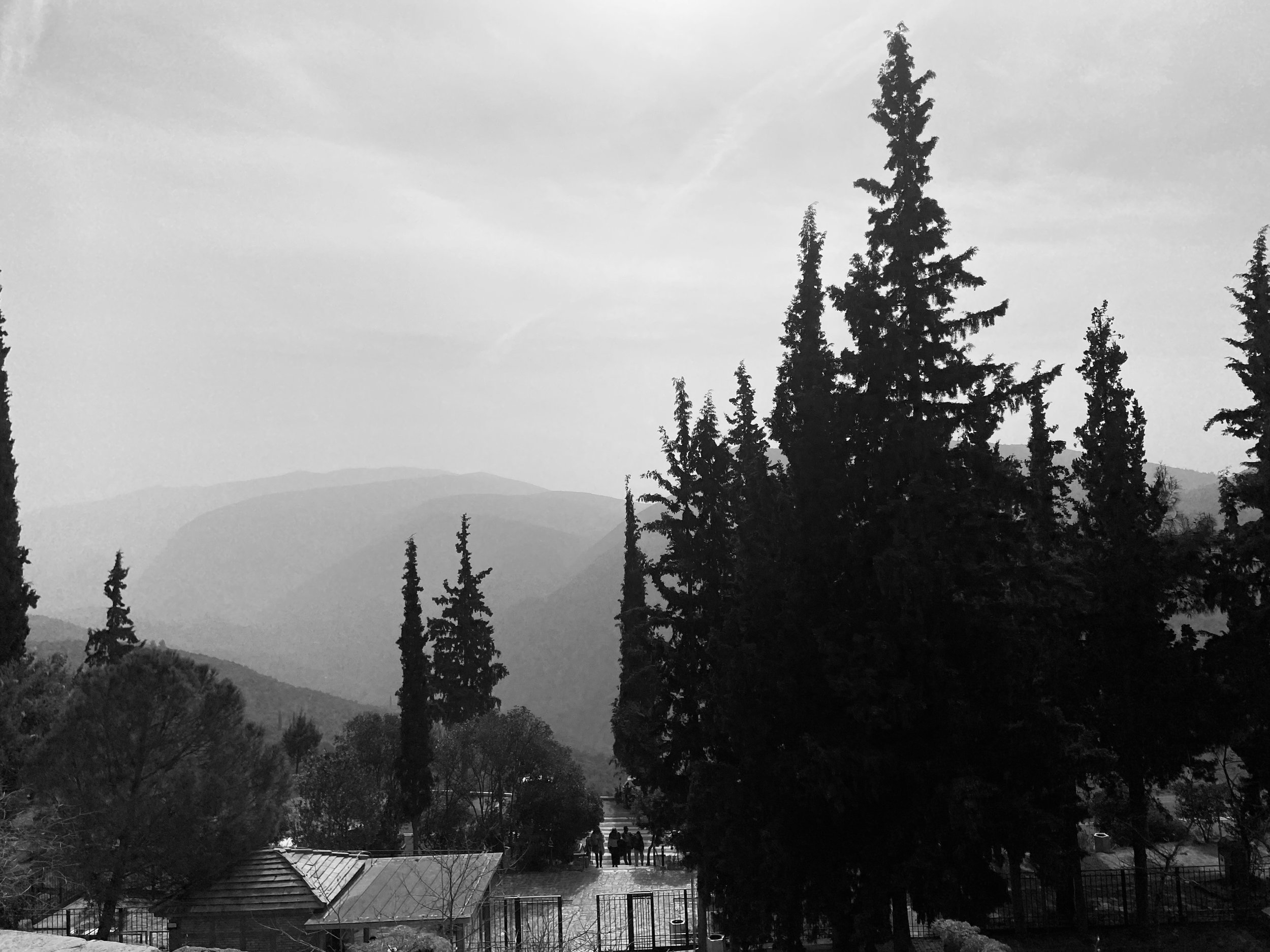 IMG_4014.jpeg