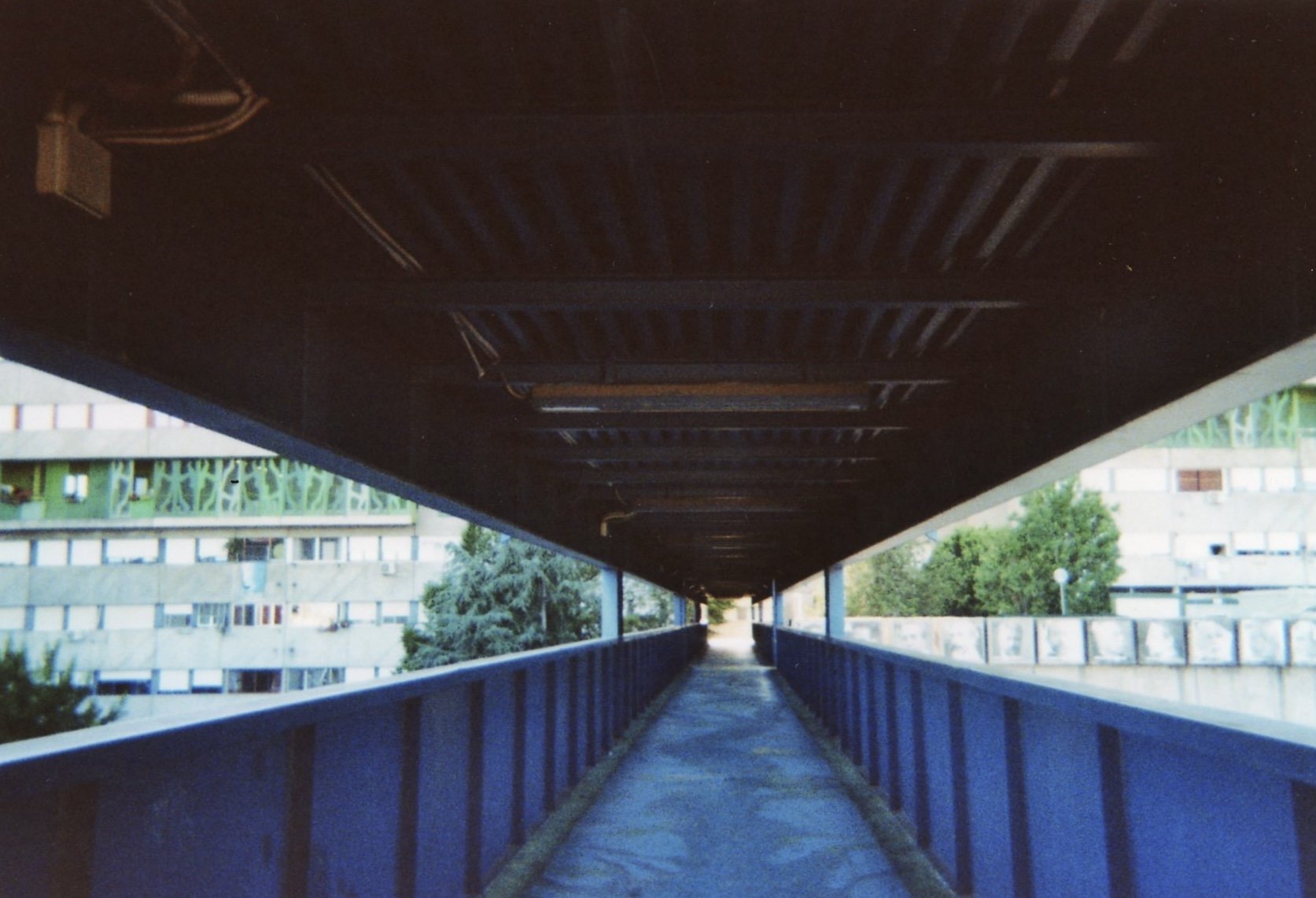 IMG_8834.jpeg