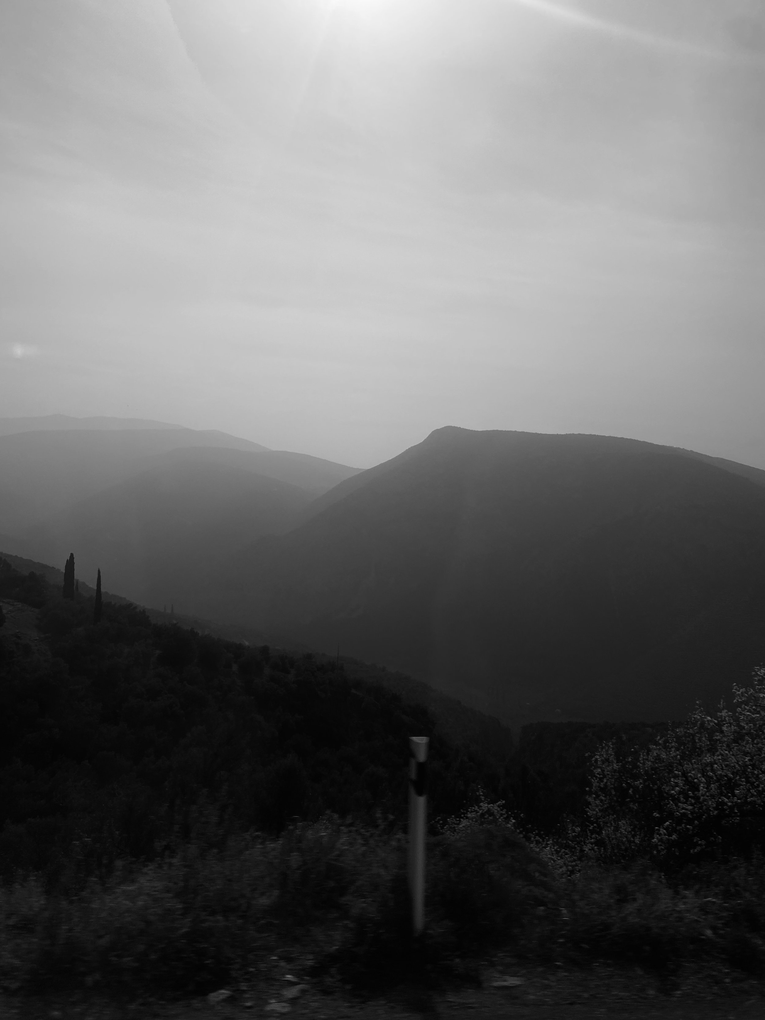 IMG_4013.jpeg