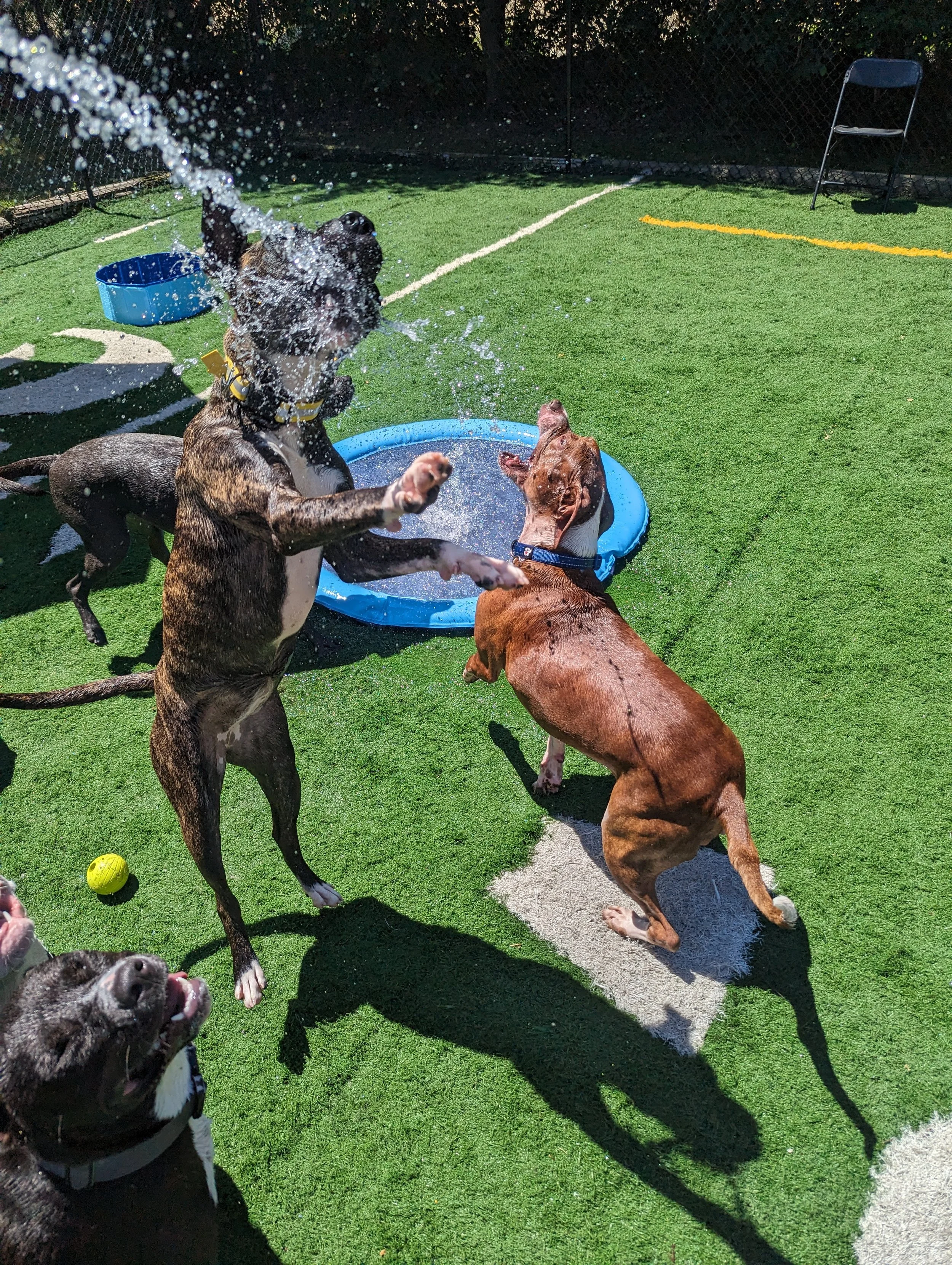 PXL_20240613_162747904.RAW-01.COVER.jpg