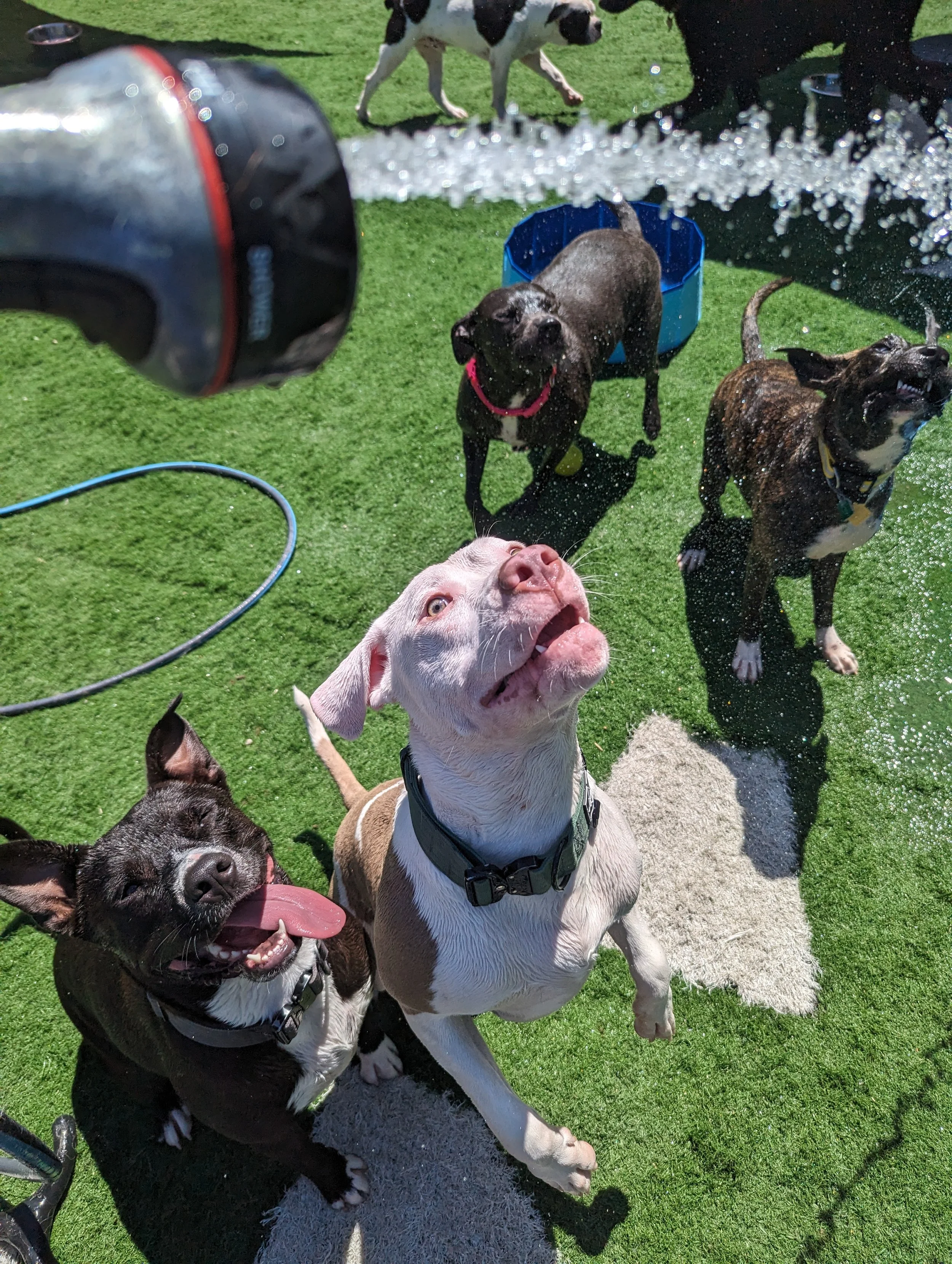 PXL_20240613_162754291.RAW-01.COVER.jpg