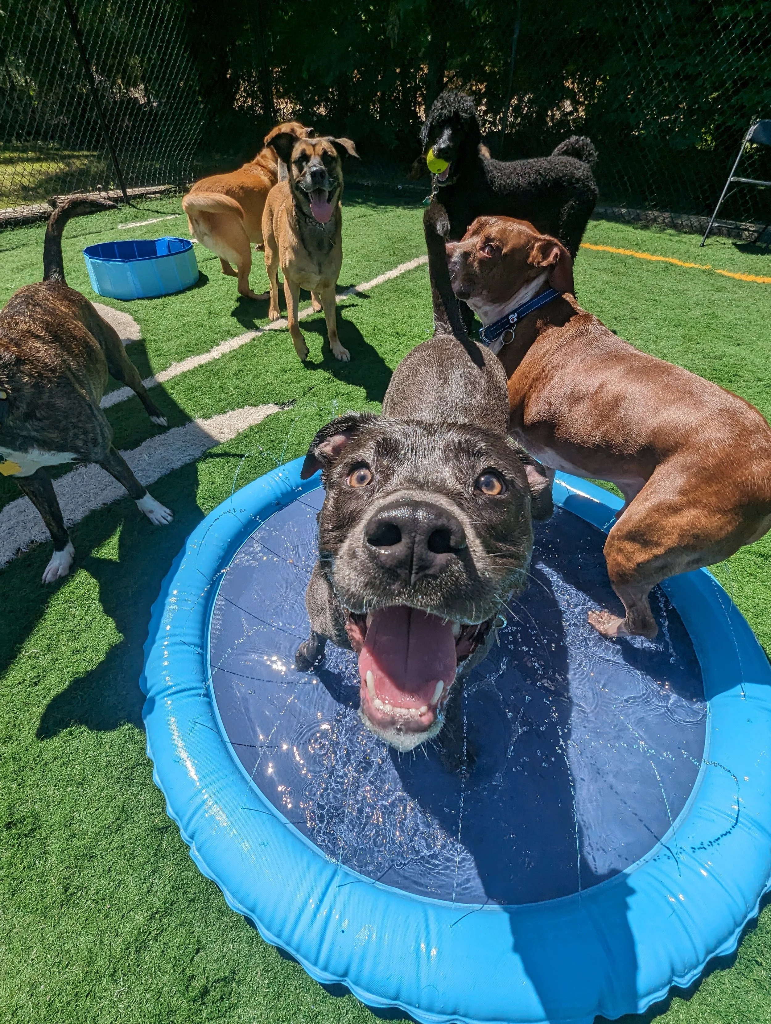 PXL_20240613_162309633.RAW-01.COVER.jpg