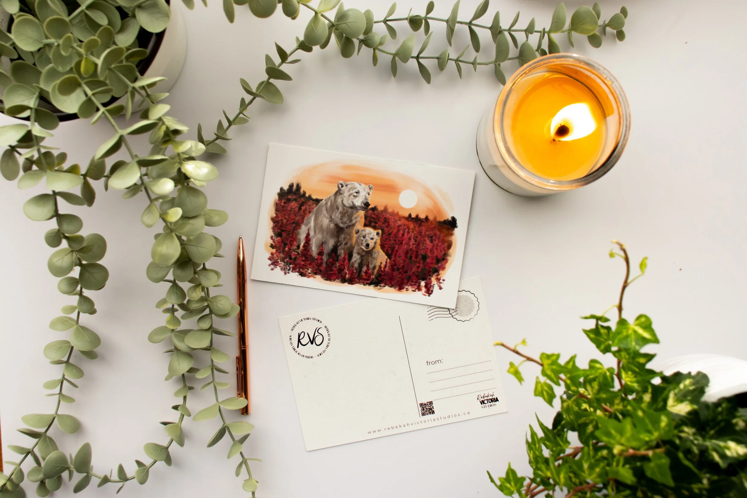 “Sunrise Among the Fireweed With Mama Bear” 4 x 6 High-quality art postcard. Frameable. Matte finish.