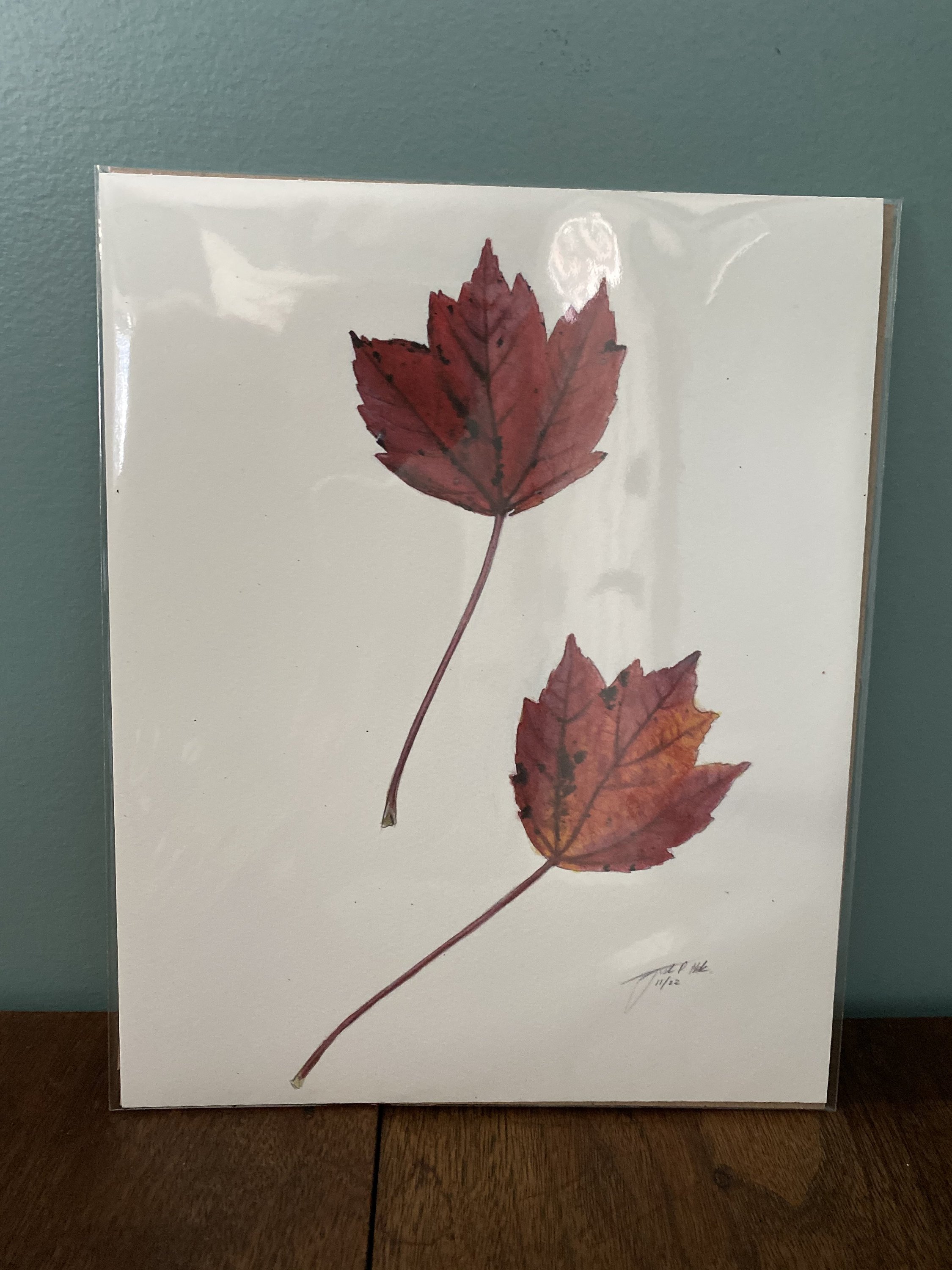 https://i.etsystatic.com/19516575/r/il/081180/4774137934/il_fullxfull.4774137934_5yut.jpg