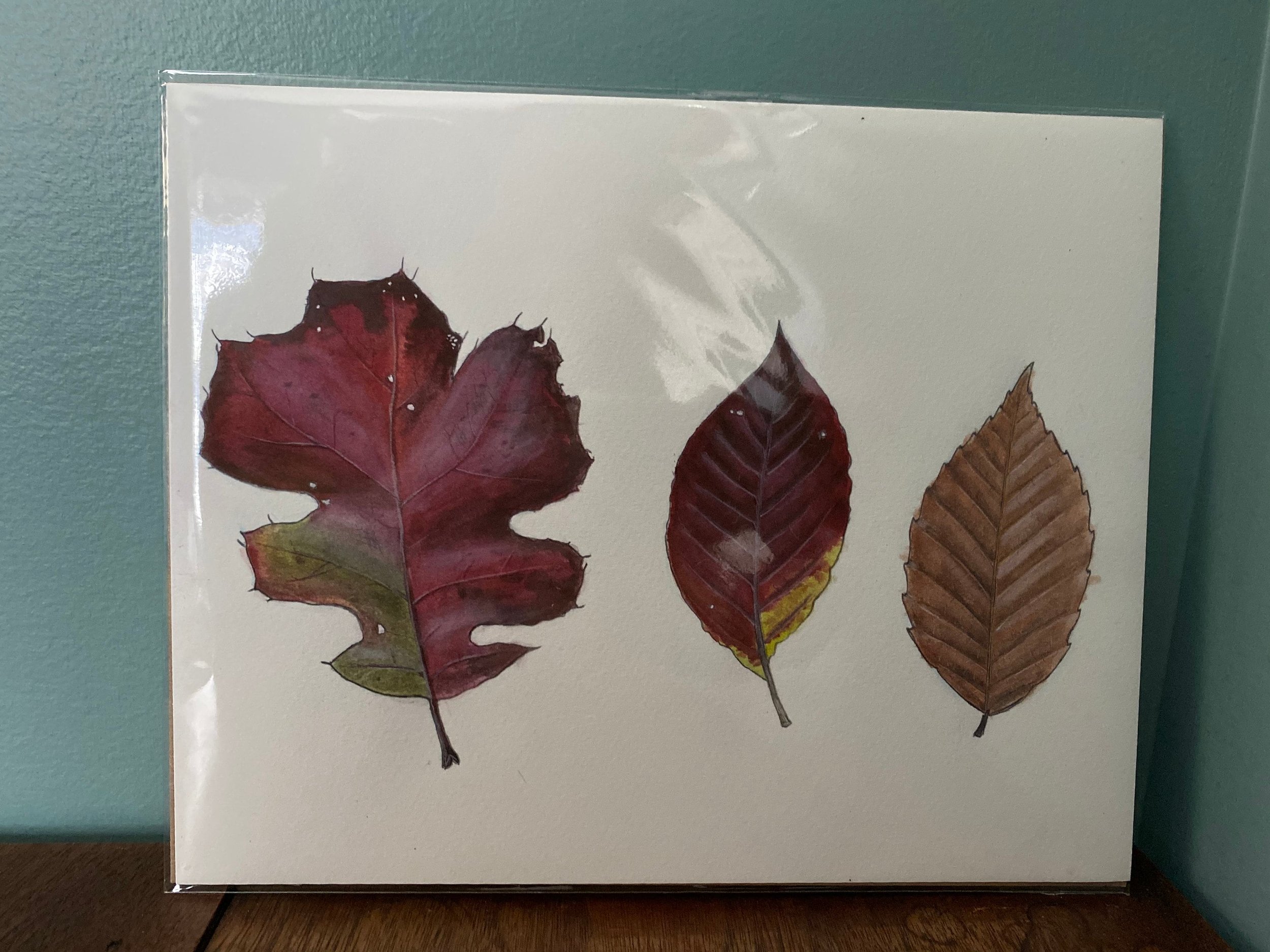 https://i.etsystatic.com/19516575/r/il/98e48e/4822376407/il_fullxfull.4822376407_4j1z.jpg