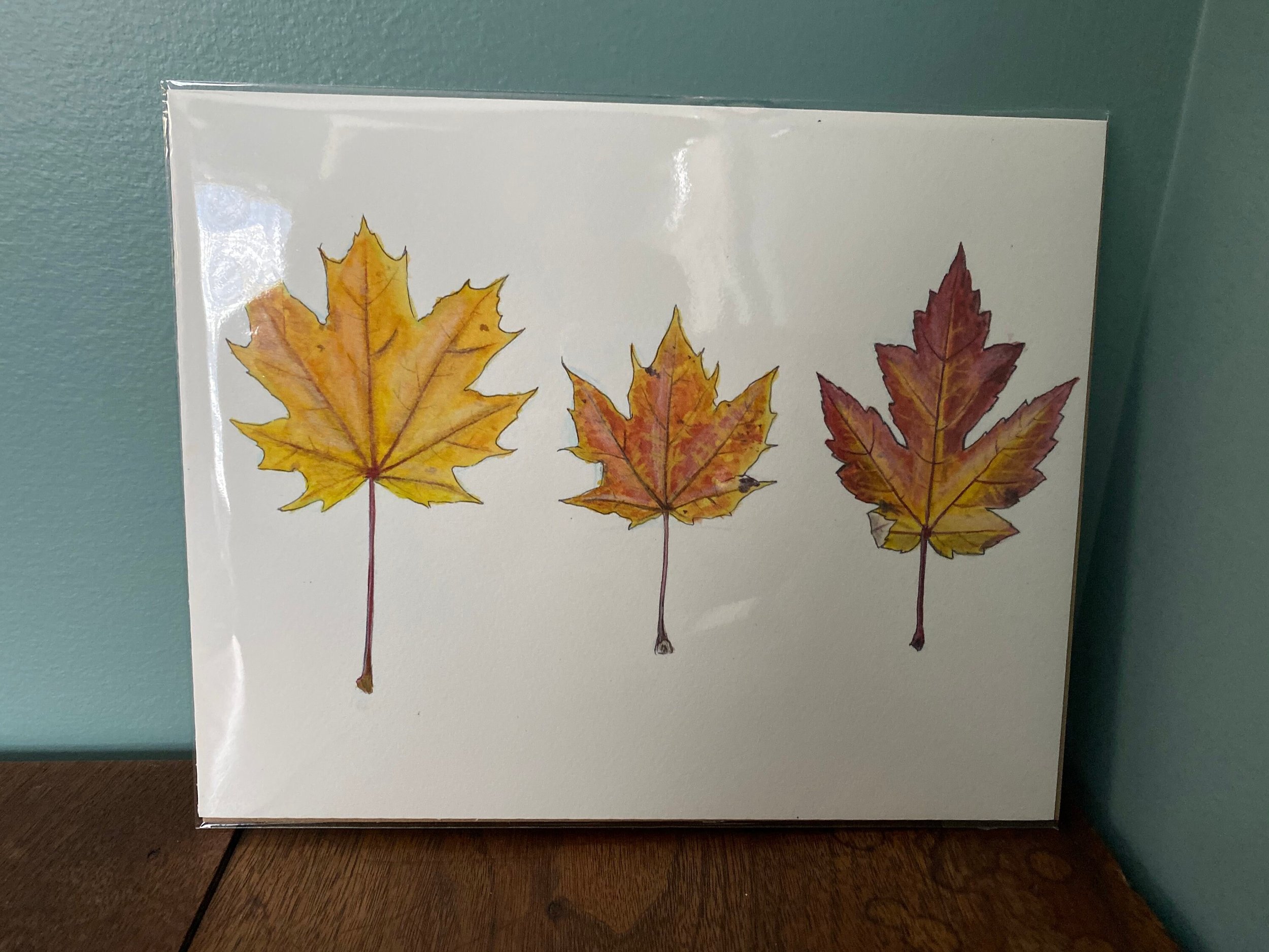 https://i.etsystatic.com/19516575/r/il/87f036/4774123470/il_fullxfull.4774123470_rnrk.jpg