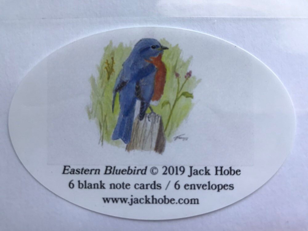 https://i.etsystatic.com/19516575/r/il/196ffe/2001719915/il_fullxfull.2001719915_k4ix.jpg