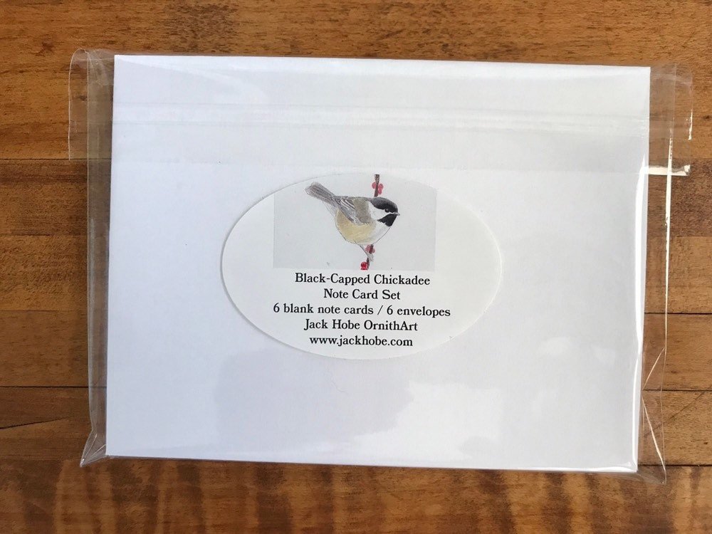 https://i.etsystatic.com/19516575/r/il/5cd04c/2469463426/il_fullxfull.2469463426_j8y3.jpg
