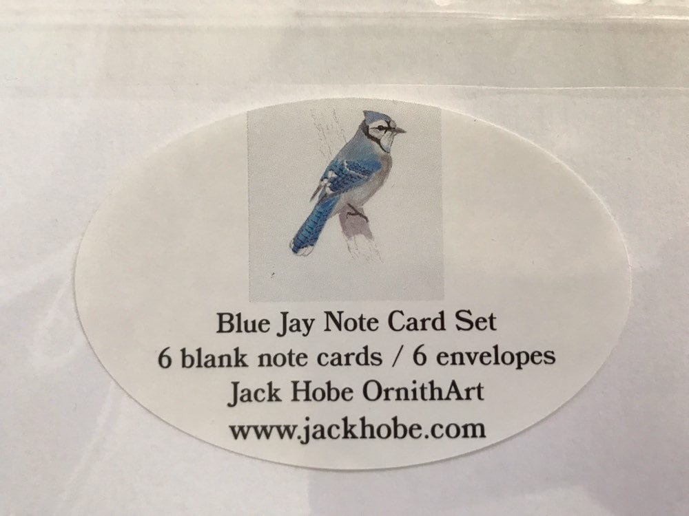 https://i.etsystatic.com/19516575/r/il/e24f75/2469465518/il_fullxfull.2469465518_bnu7.jpg