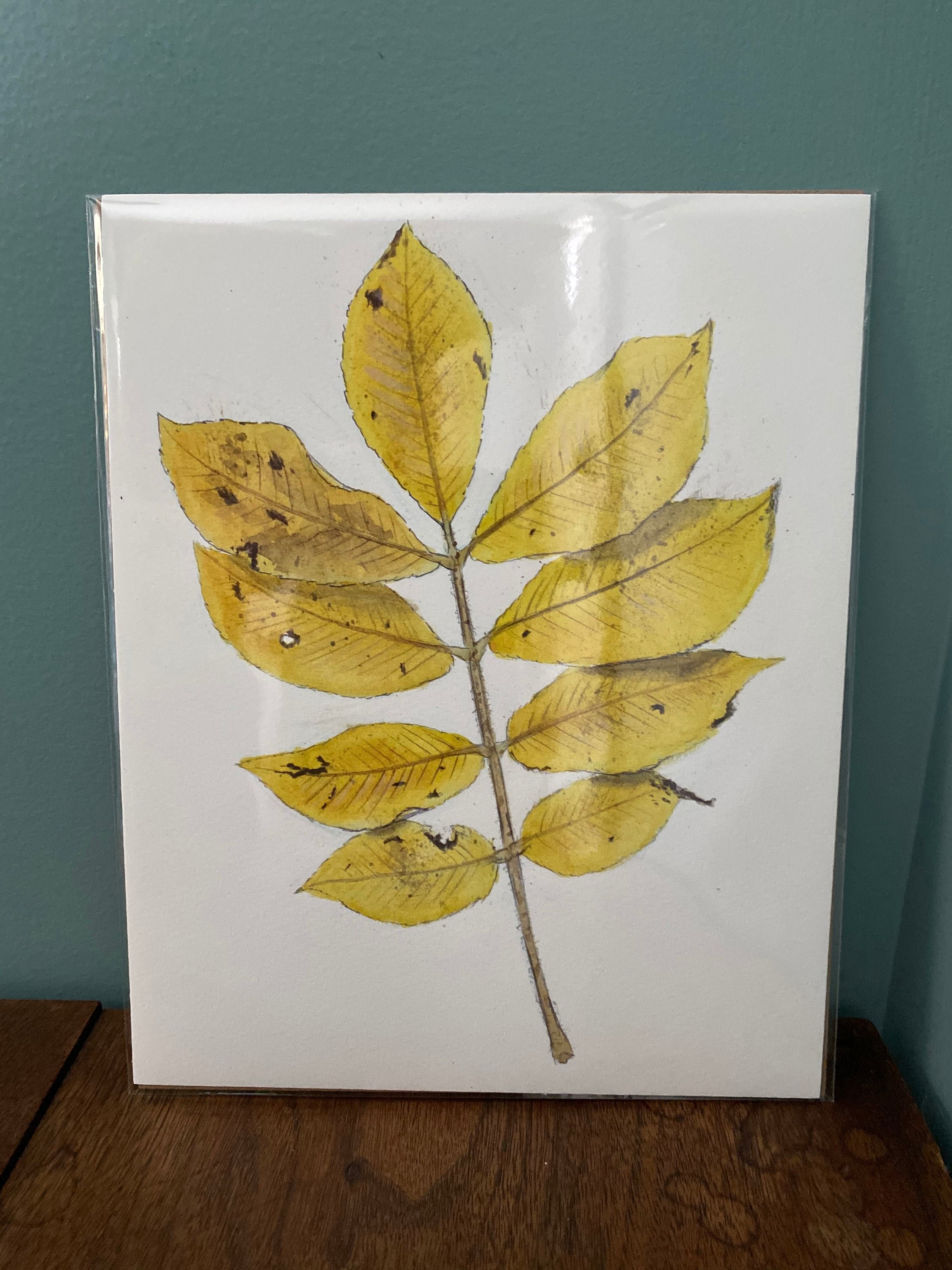 https://i.etsystatic.com/19516575/r/il/0217eb/4822404985/il_fullxfull.4822404985_h06o.jpg