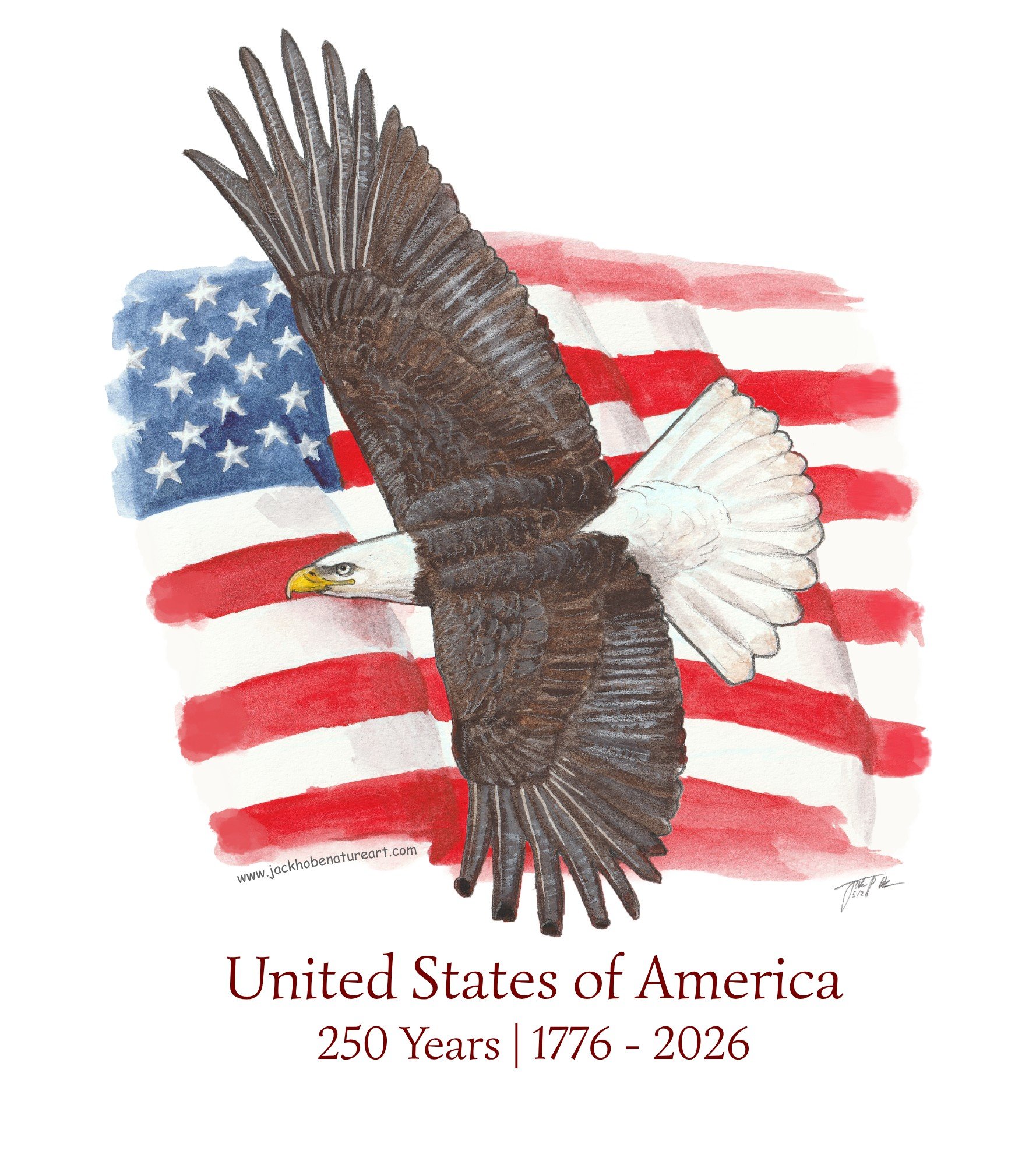 Bald Eagle USA 250 Tshirt NB_edit.jpg