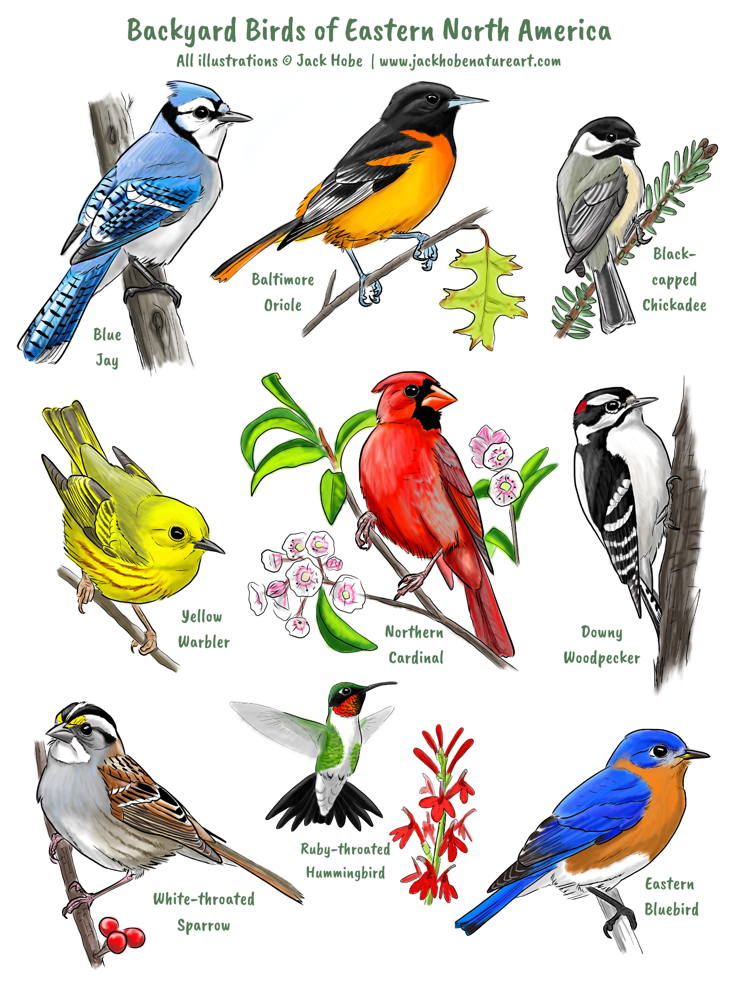 Tea Towel Design.png