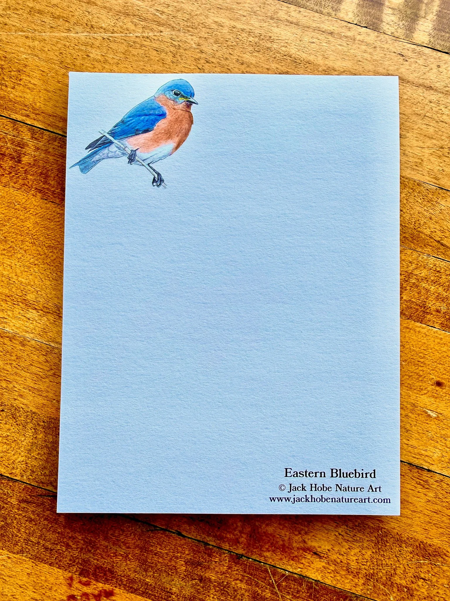 Eastern Bluebird Notepad