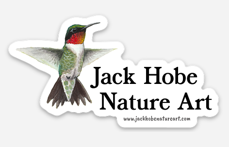 Ruby-throated Hummingbird Logo Vinyl Sticker