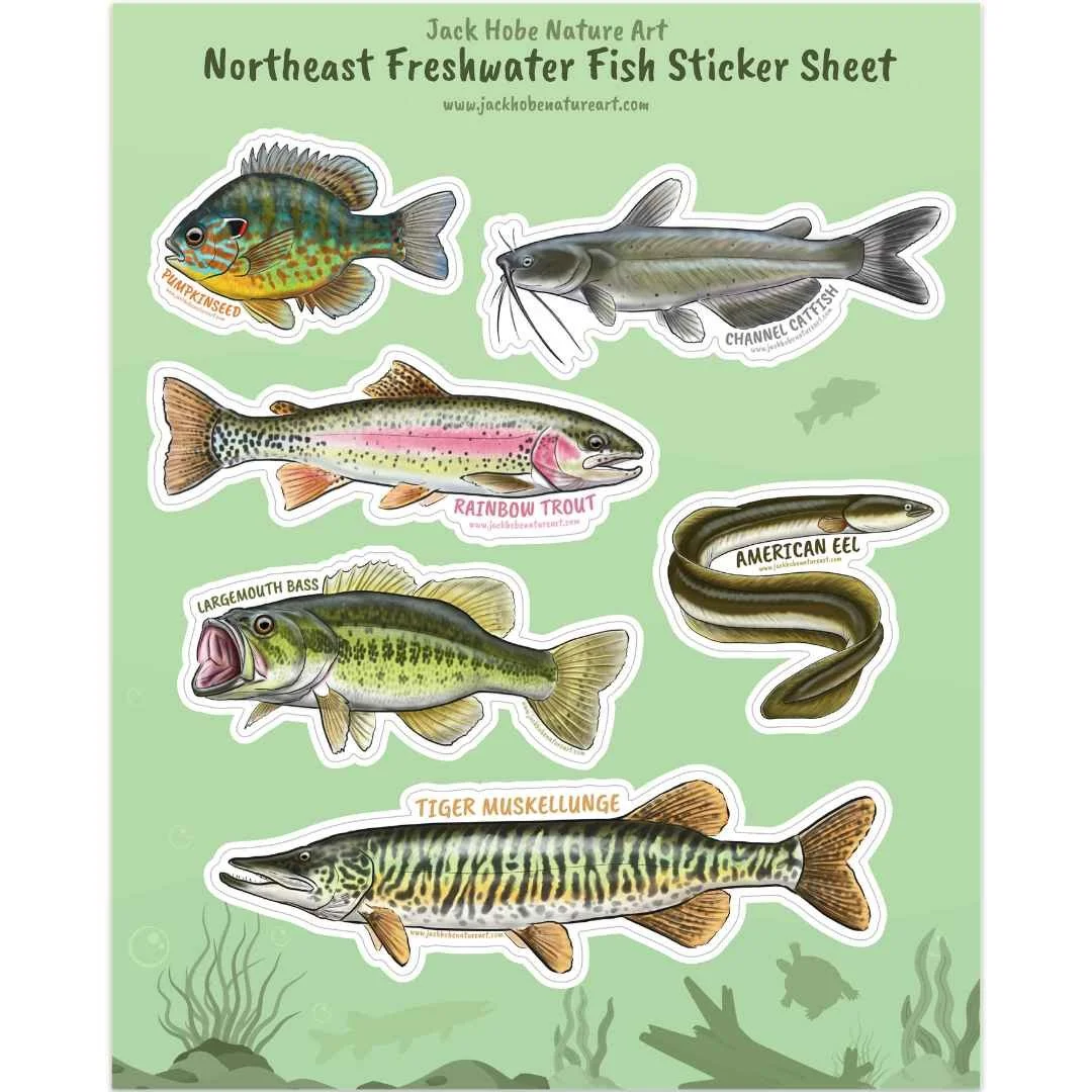 Northeast Freshwater Fish Vinyl Sticker Sheet