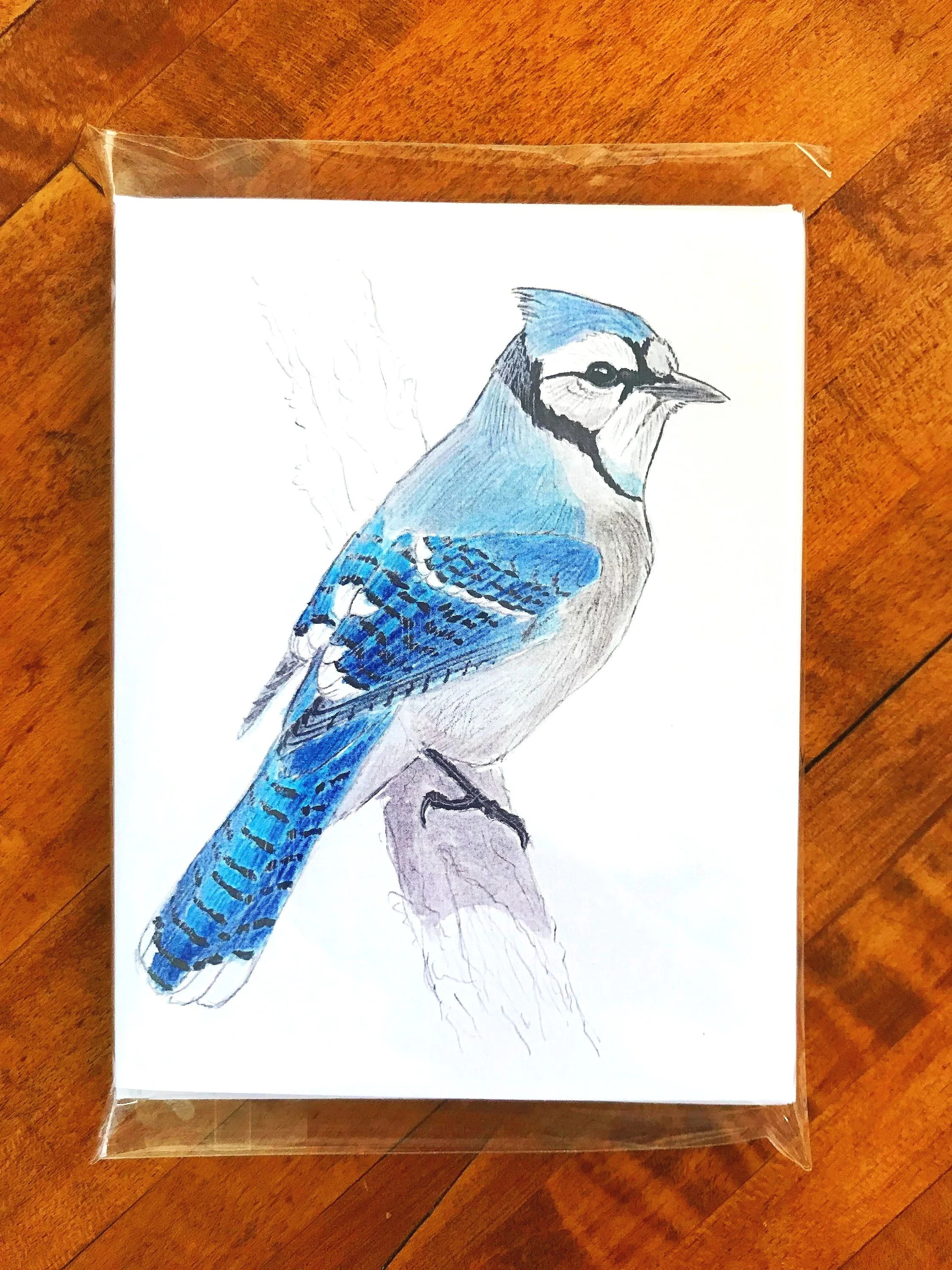 Notecards featuring a watercolor painting of a blue jay bird perched on a tree branch.