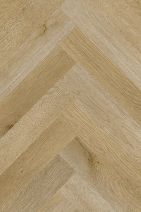 Captura de Pantalla 2026-02-11 a la(s) 12.44.27.png