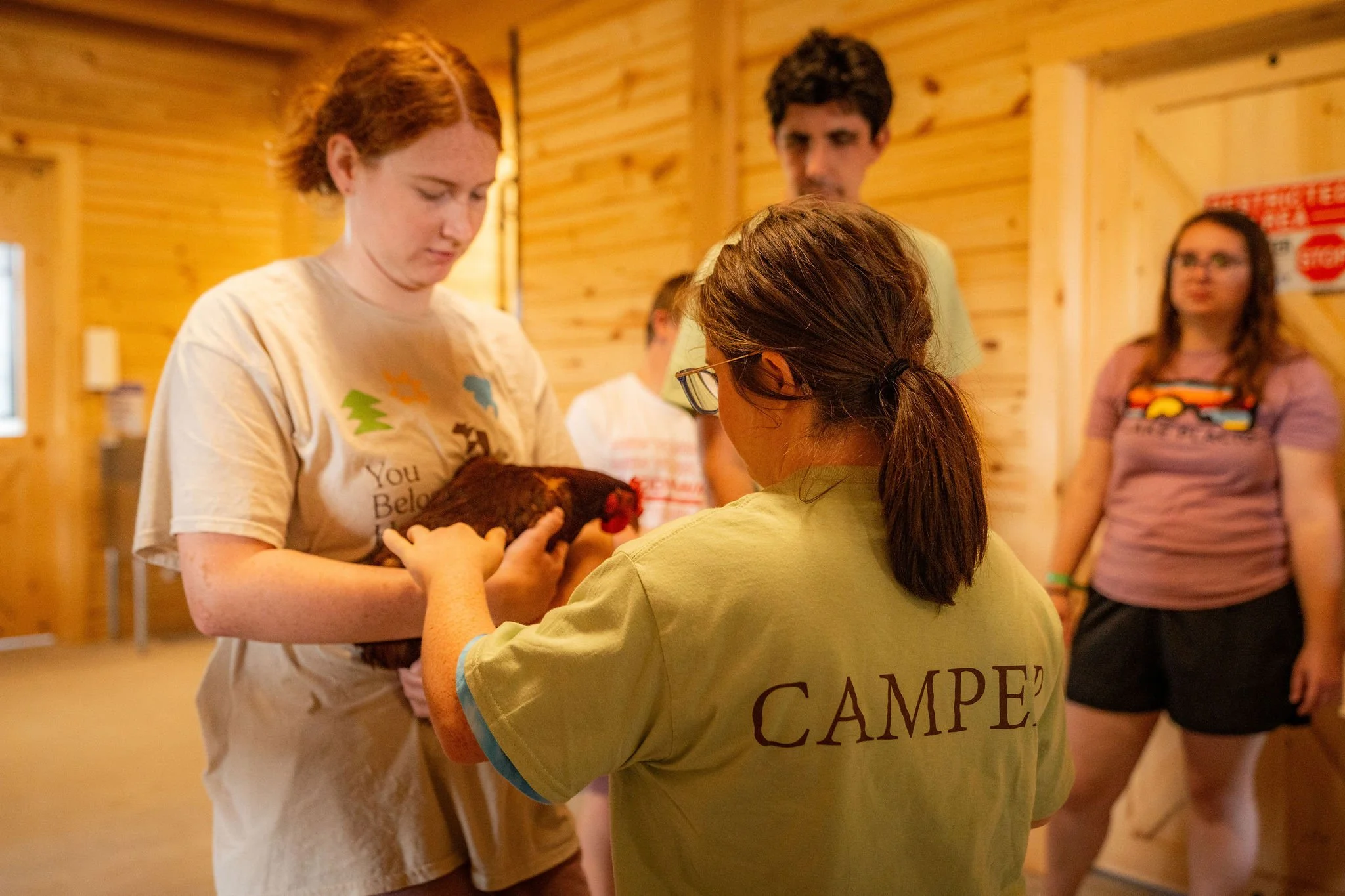 Animal Therapy