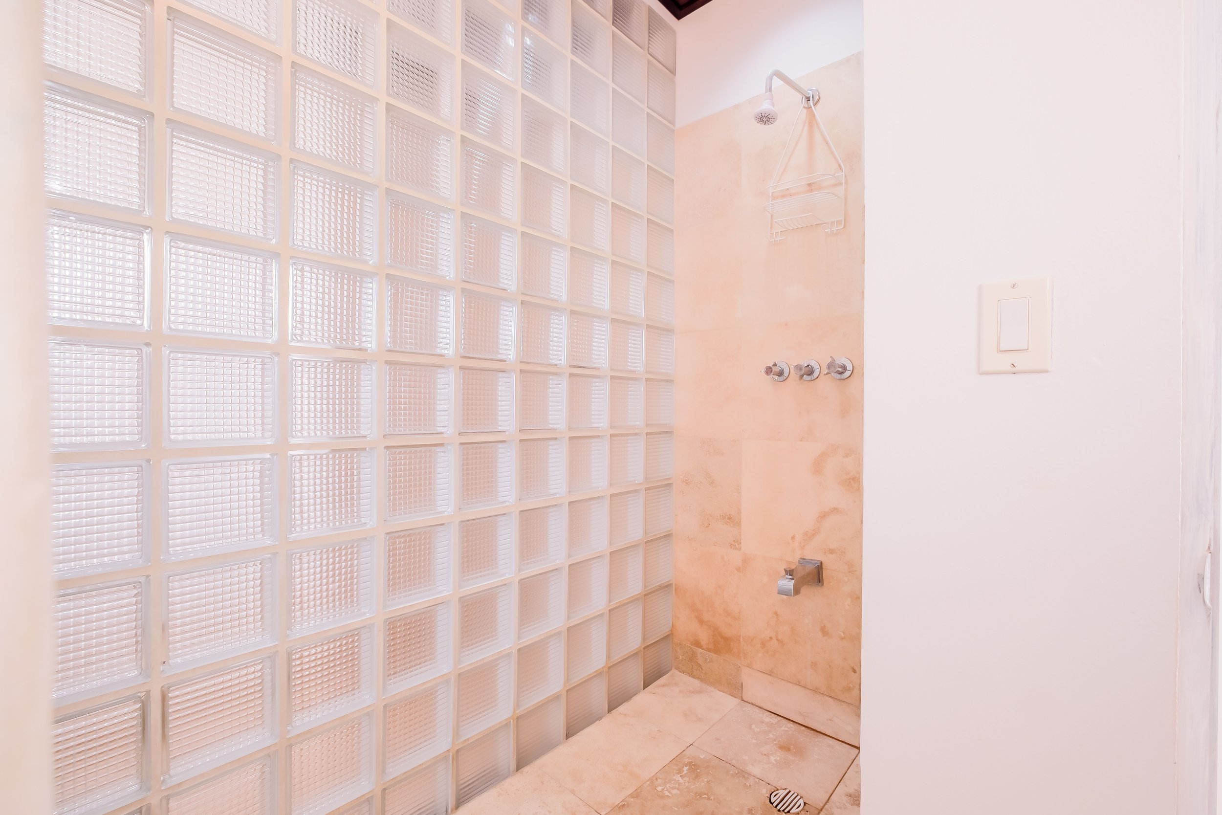 Glass block shower wall and tiled shower area with showerhead and controls