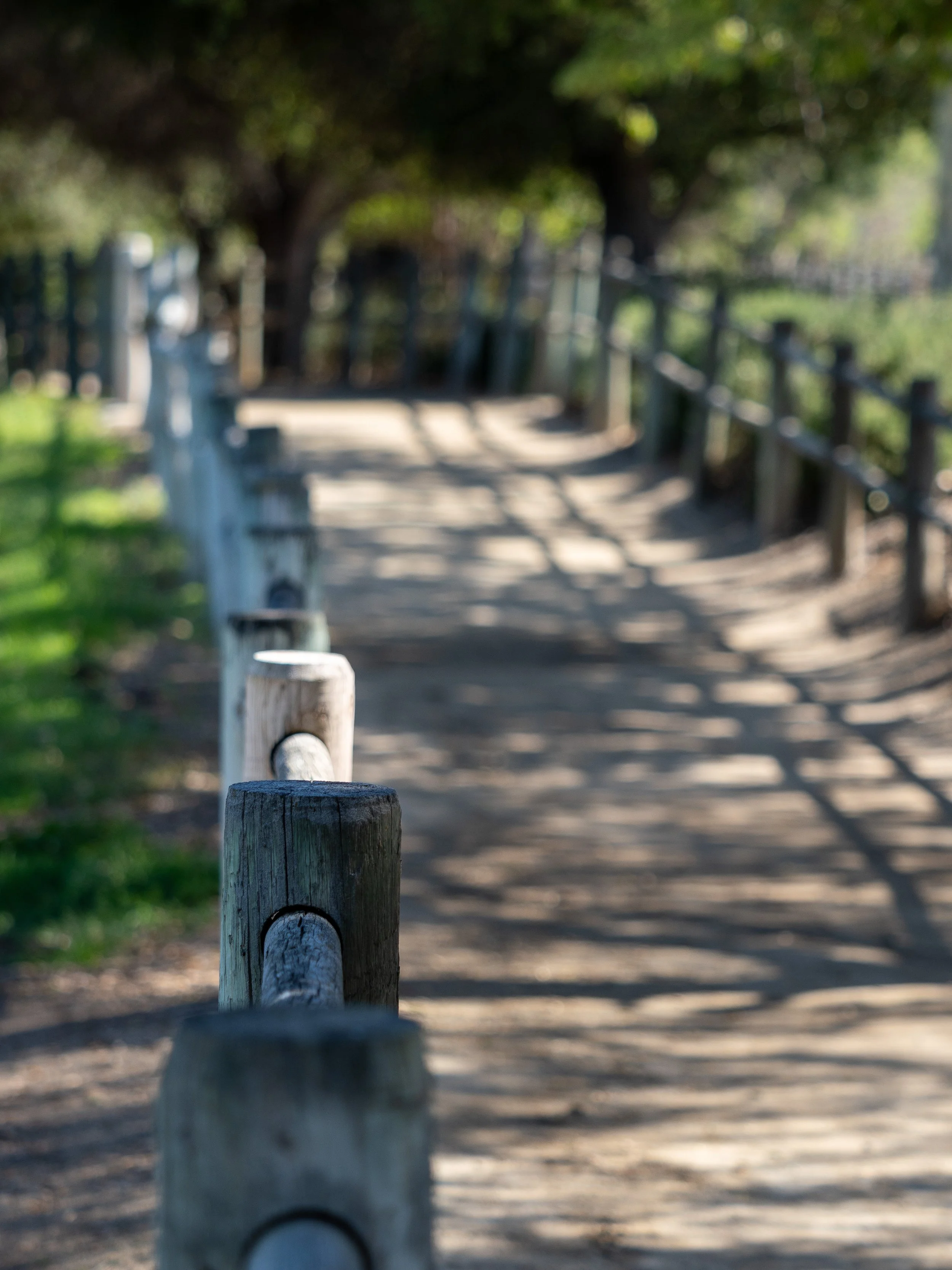 2026 AFA Golf Tournament-63.jpg